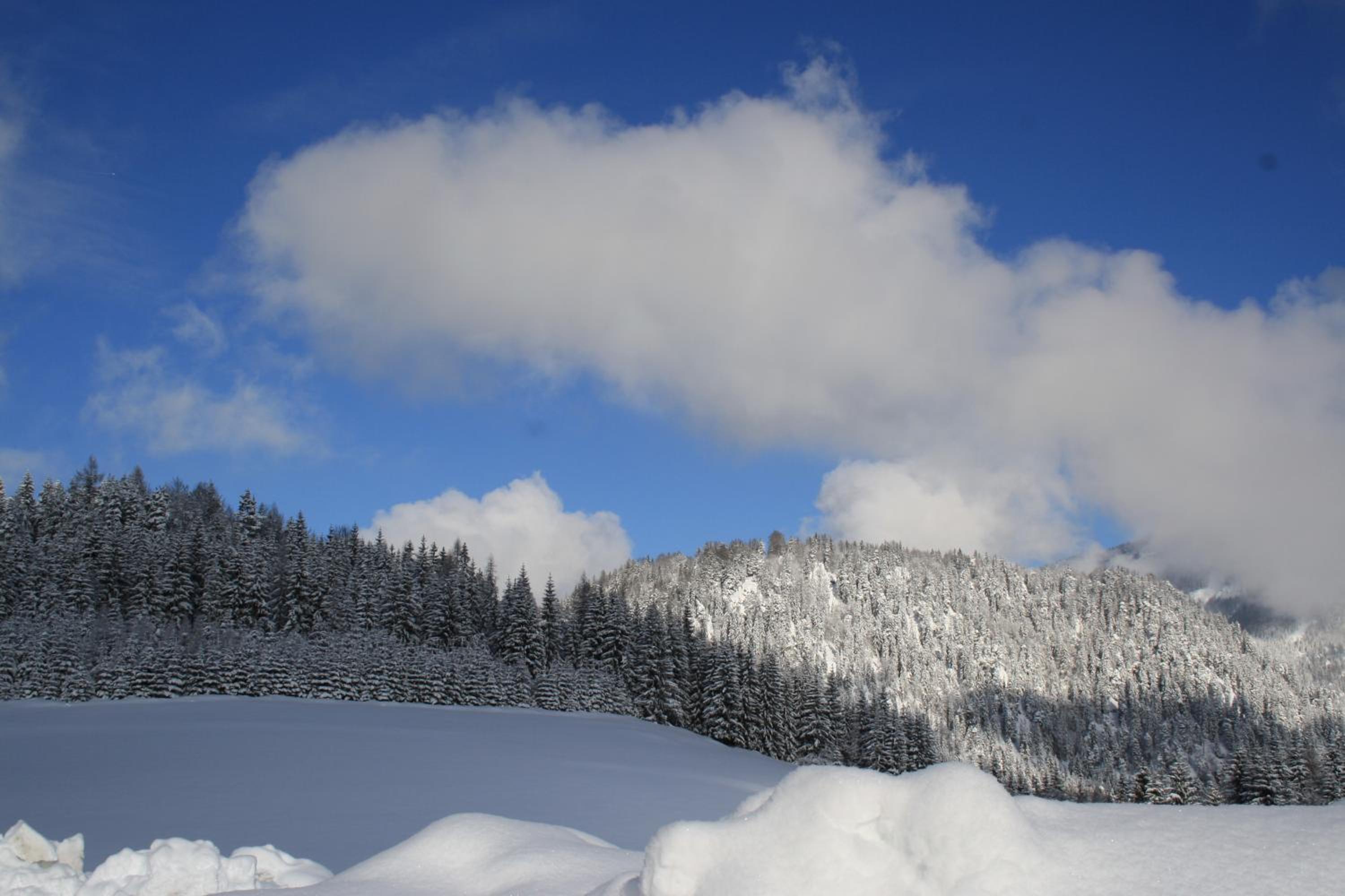 Alpengasthof Oberweissbach
