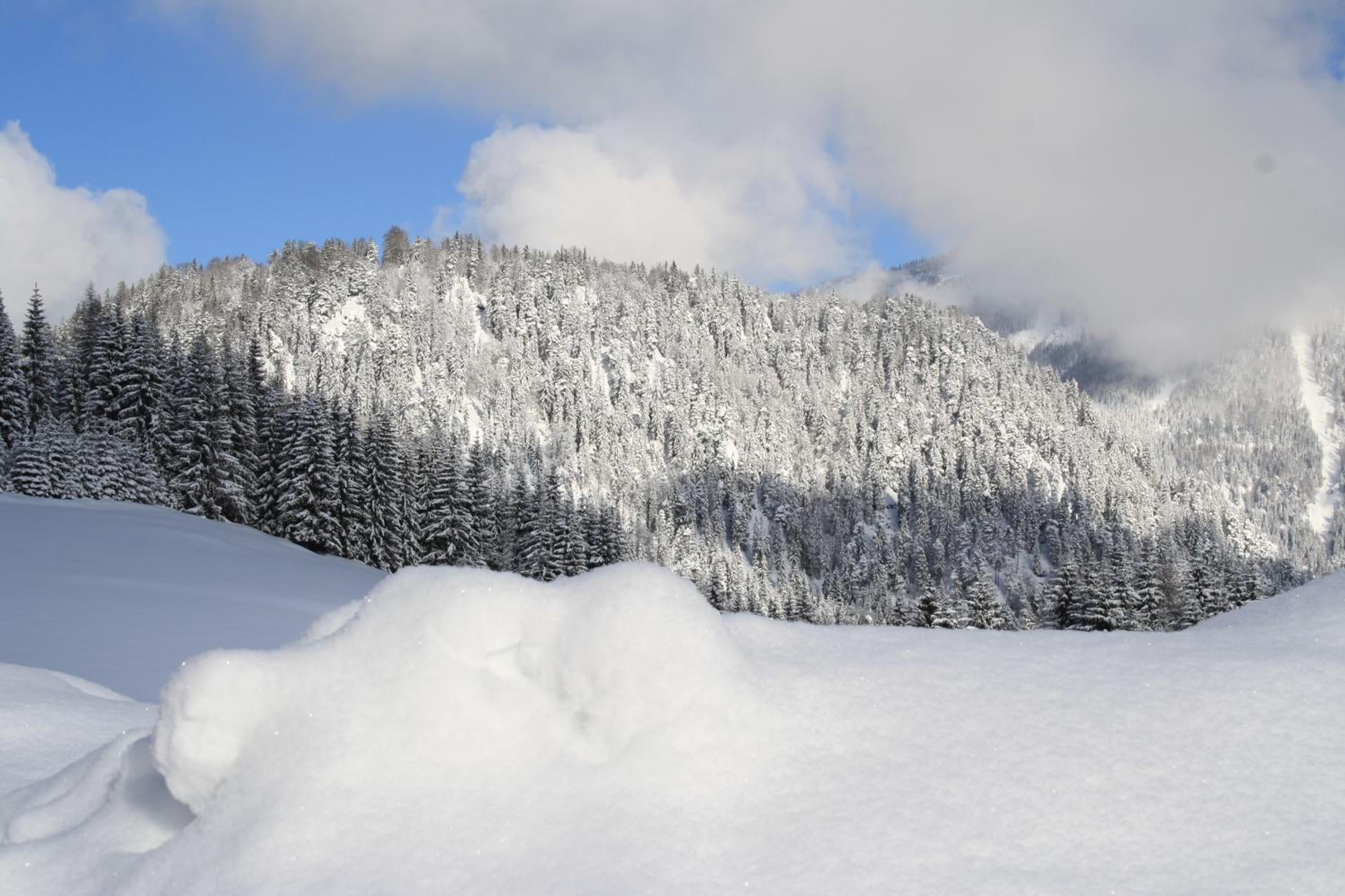 Alpengasthof Oberweissbach
