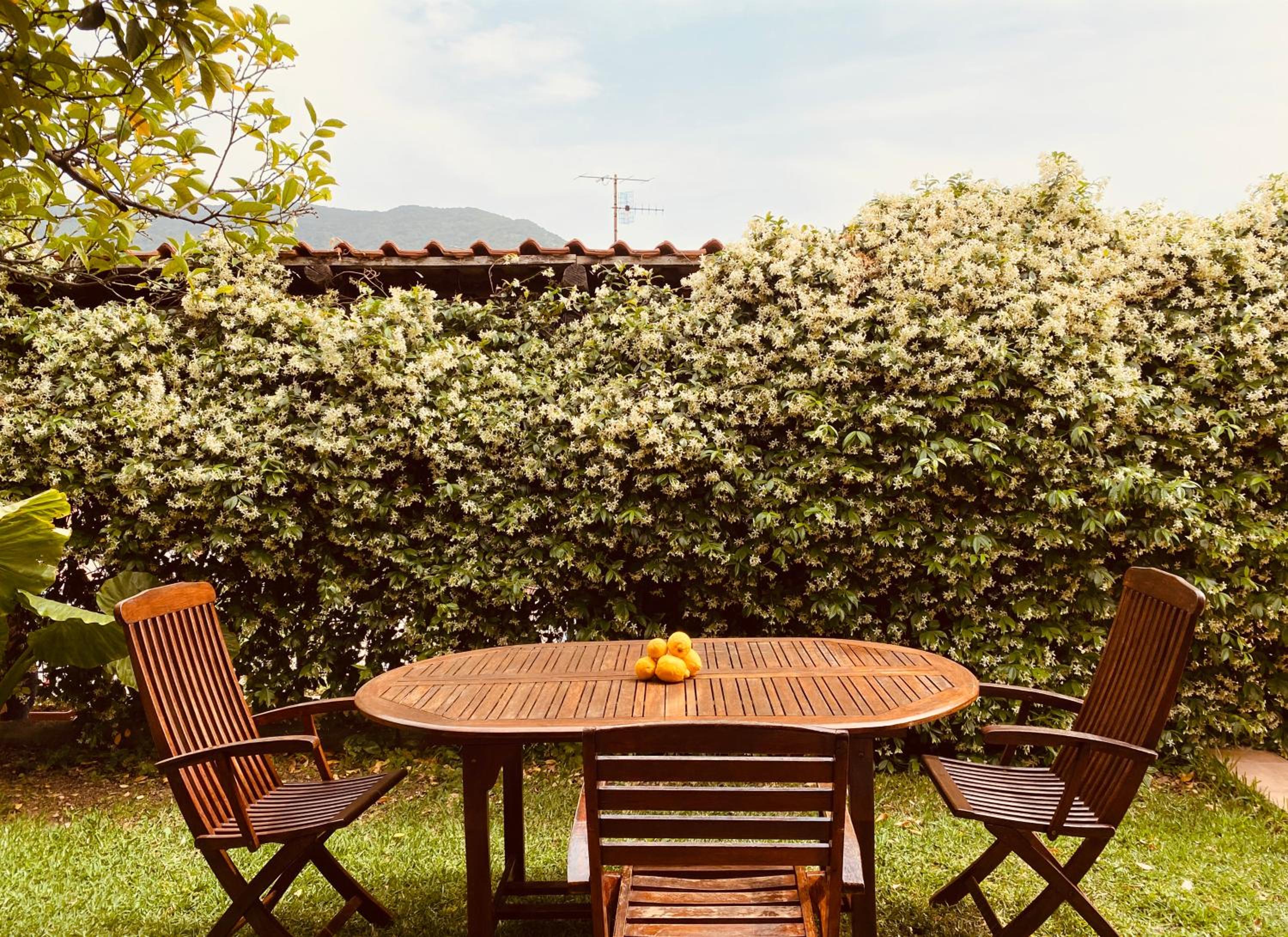 Bed & Breakfast Spigolatrice view 4