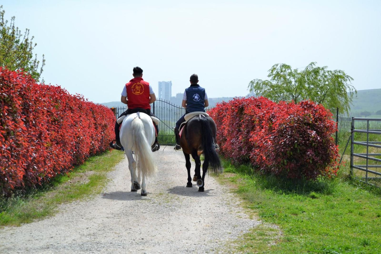 Vento Barocco - Equitazione e Turismo photo 5