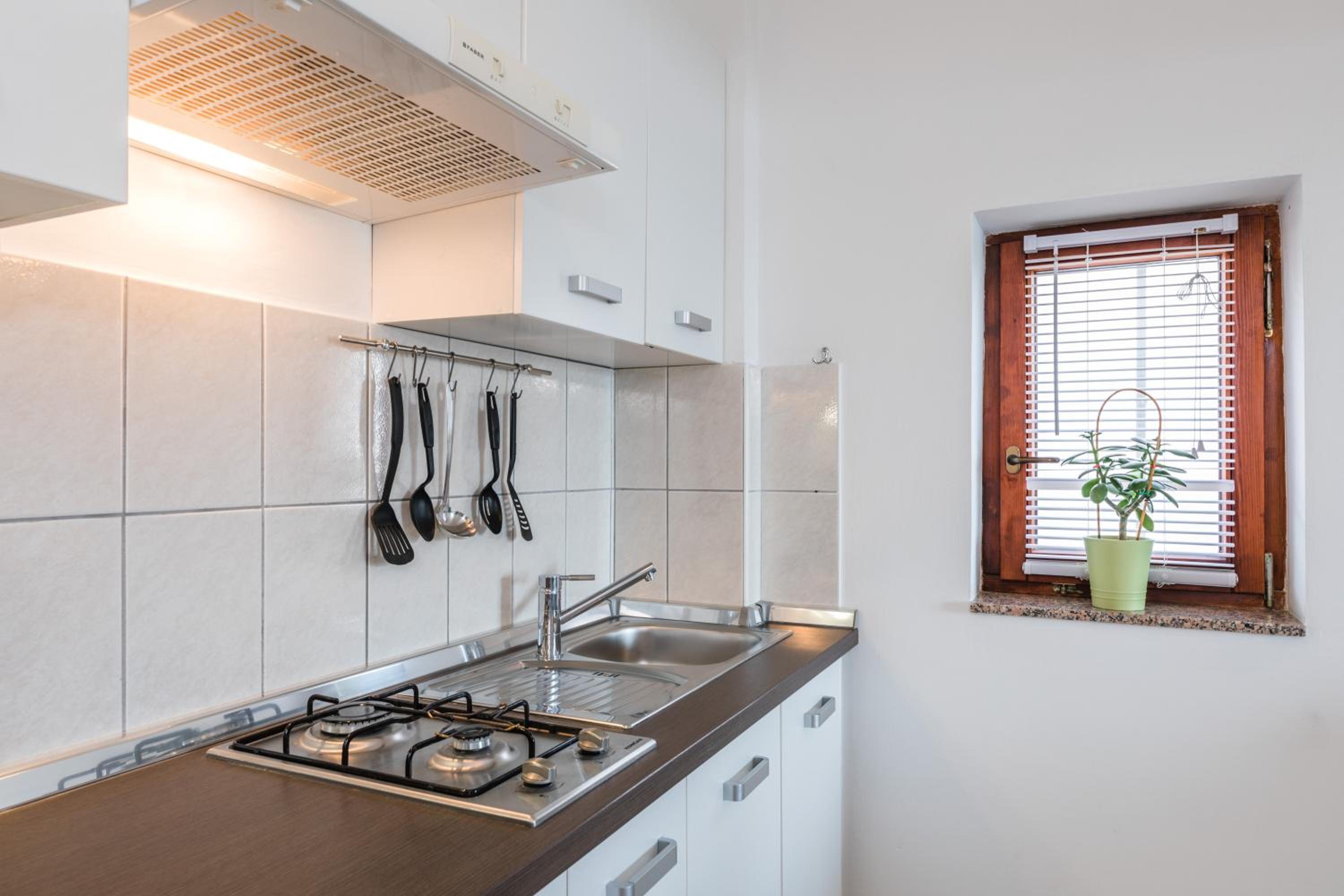 Apartments Mikanović view 3
