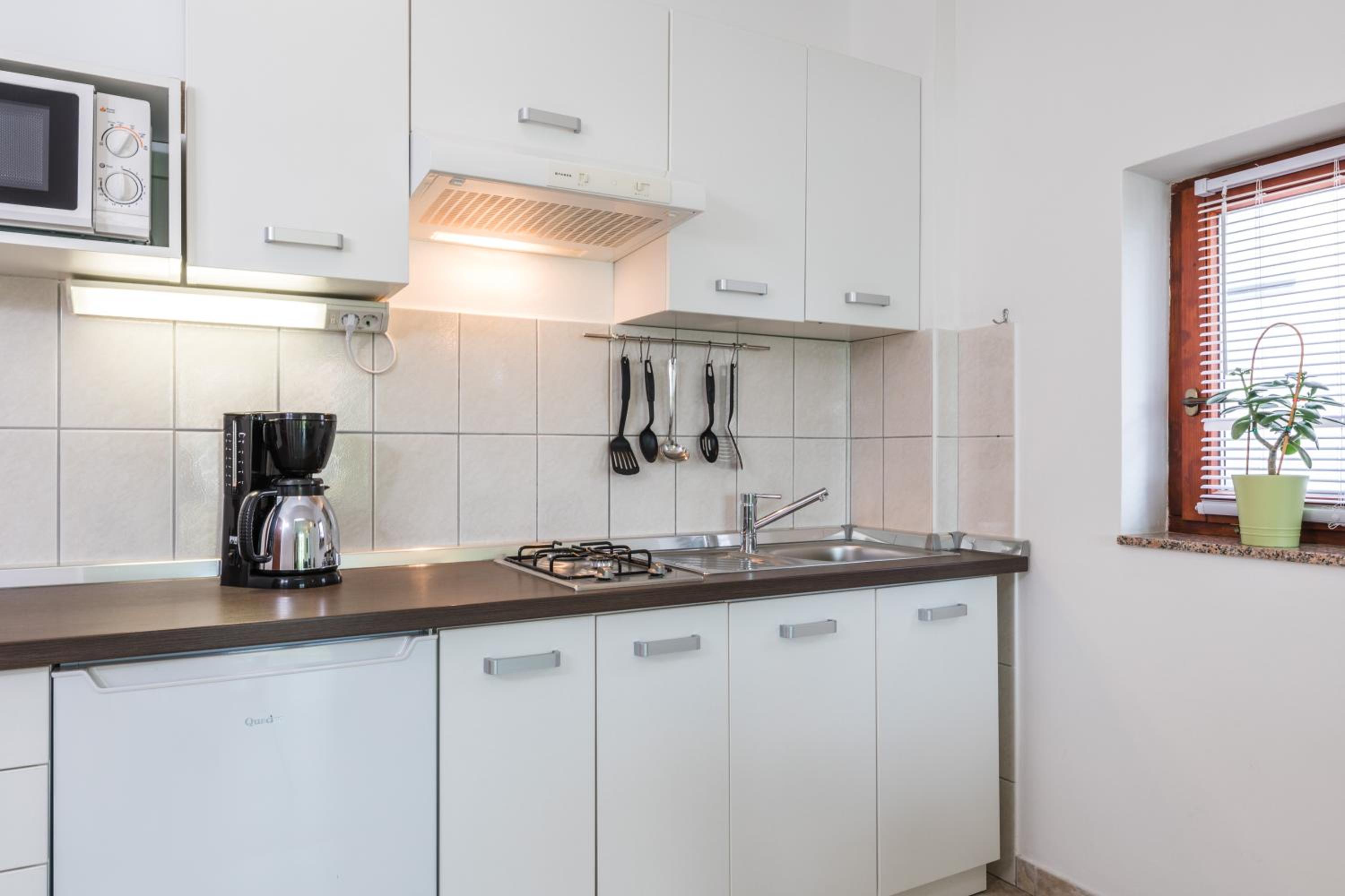Apartments Mikanović view 4