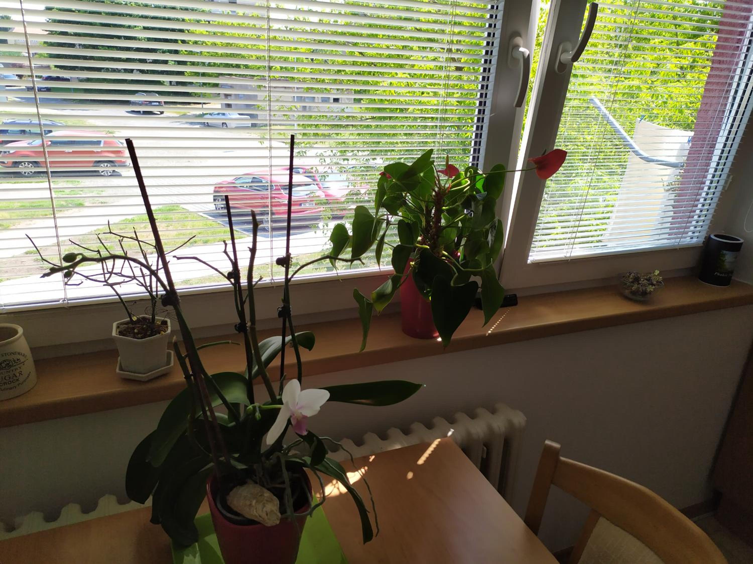 other