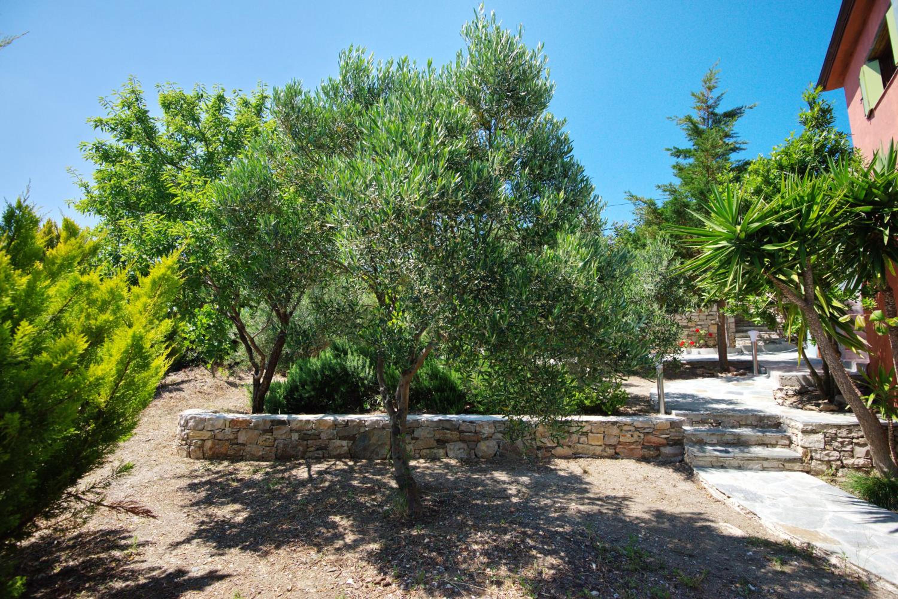 Photo 23