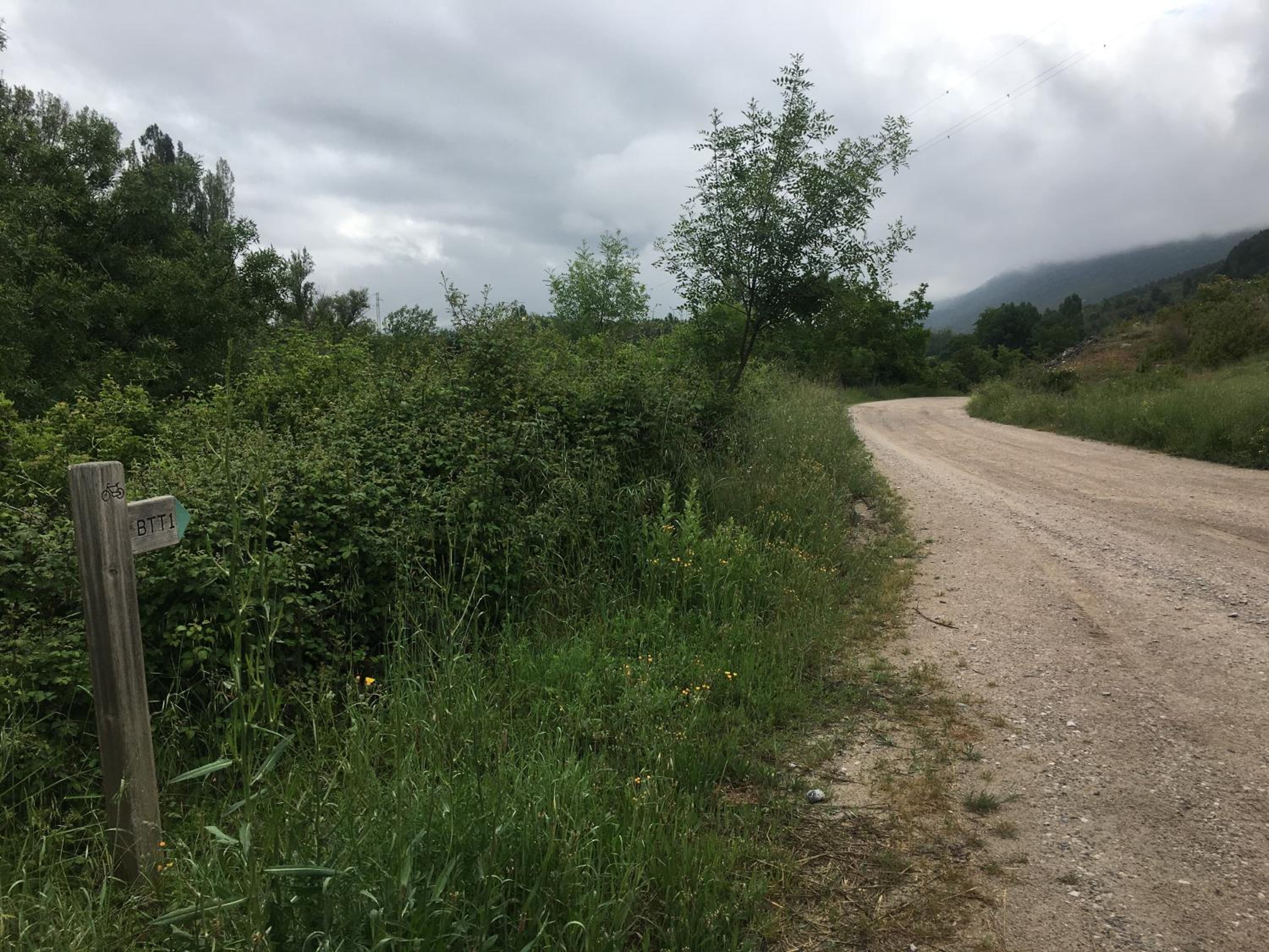 Photo 25