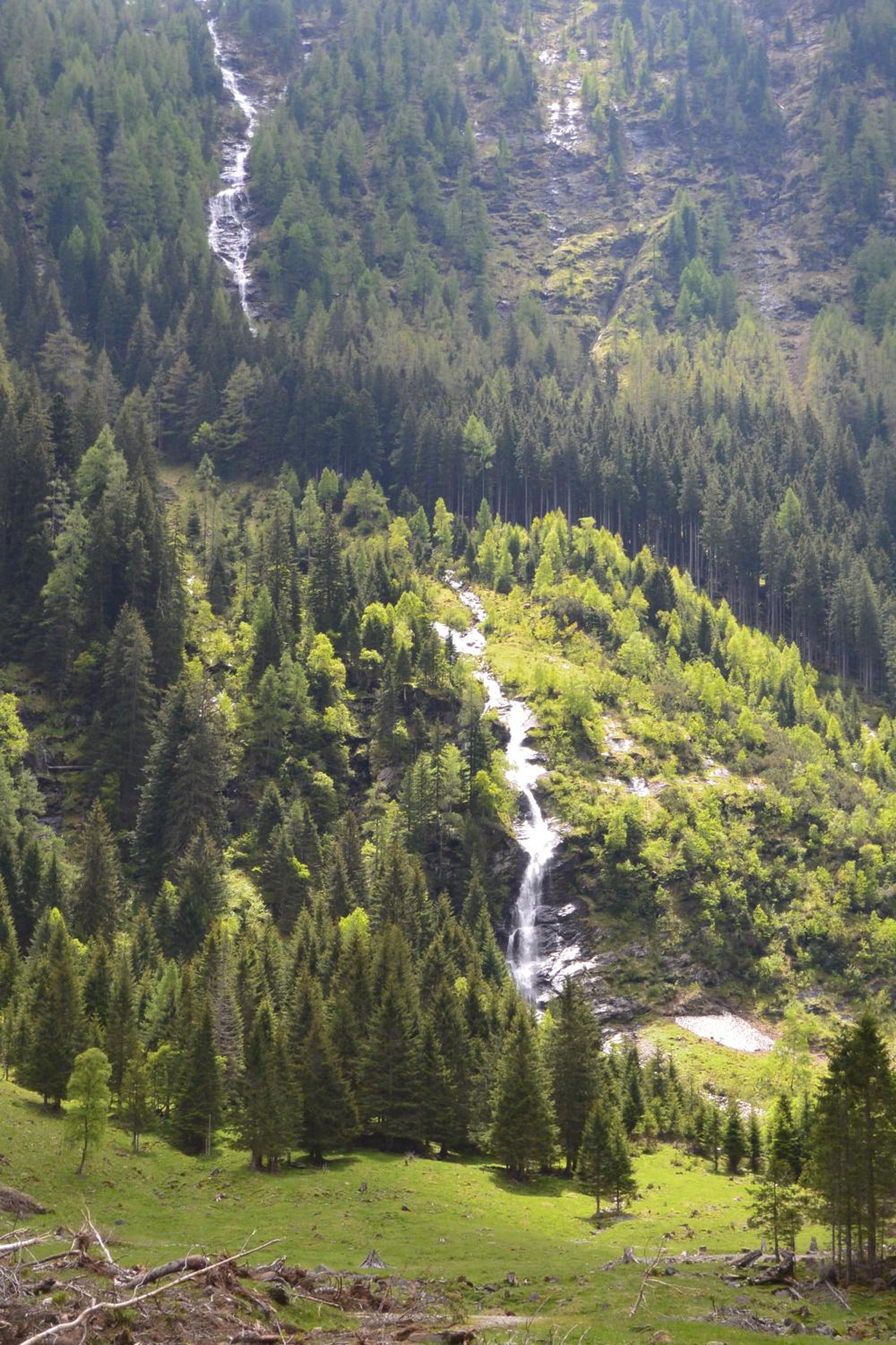 Photo 32