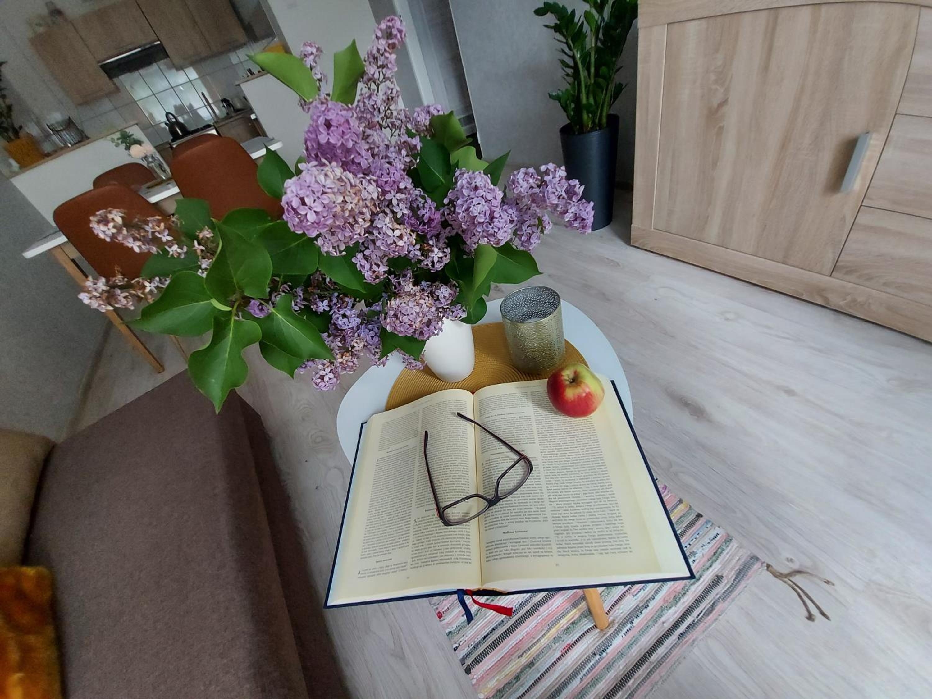 Apartament Wągrowiec, Gabi - Remigiusz Kiszka, photo 8
