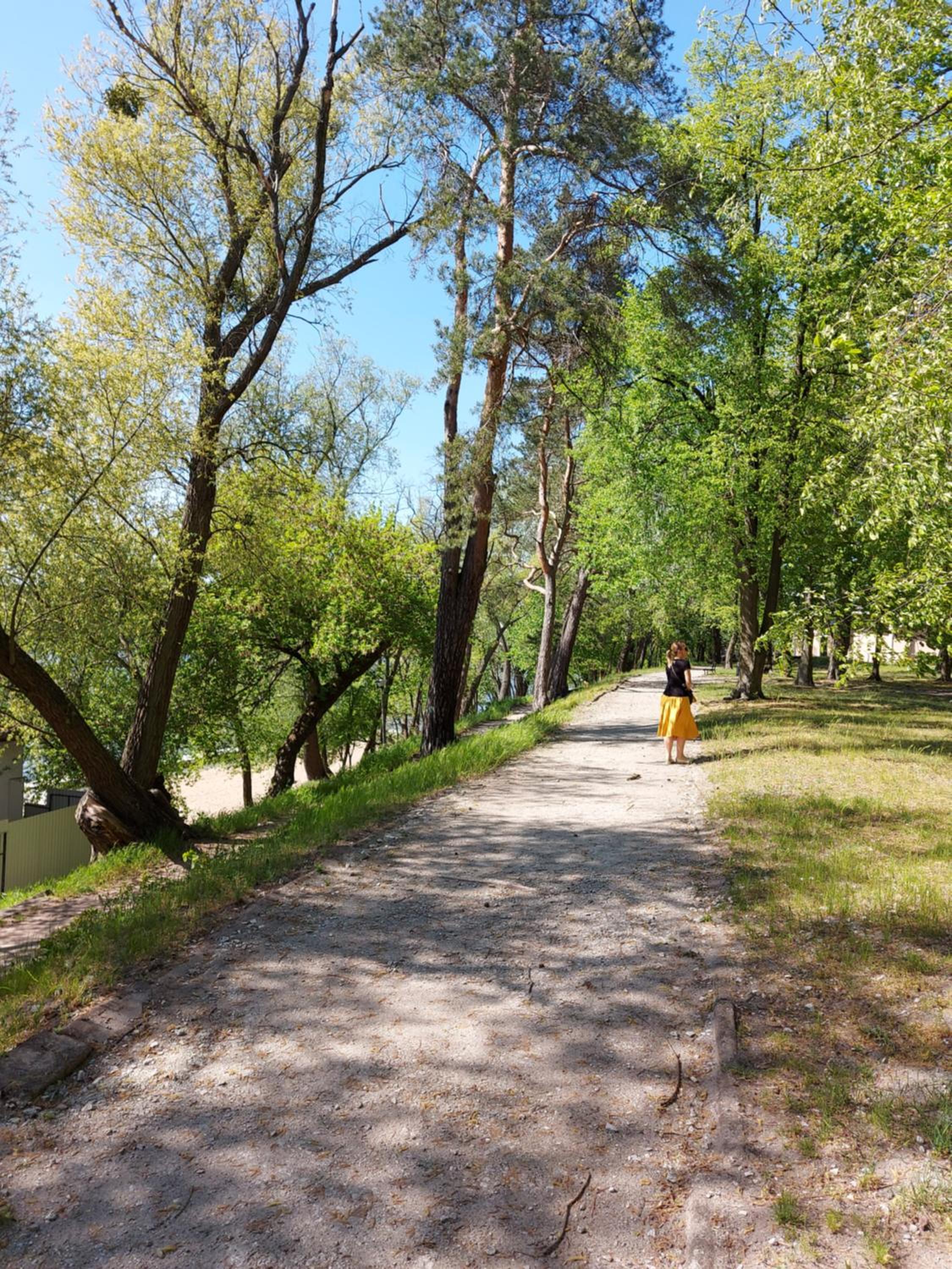 Photo 33