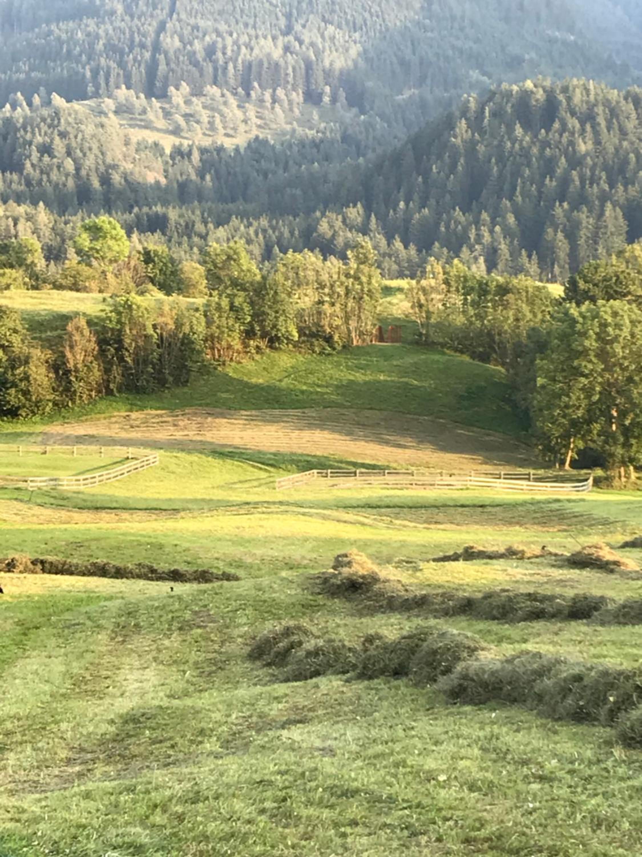 Appartamenti Pichler