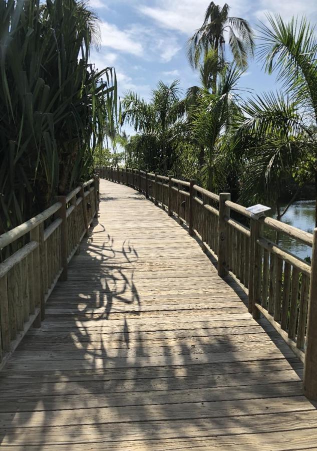 Vidan Acapulco