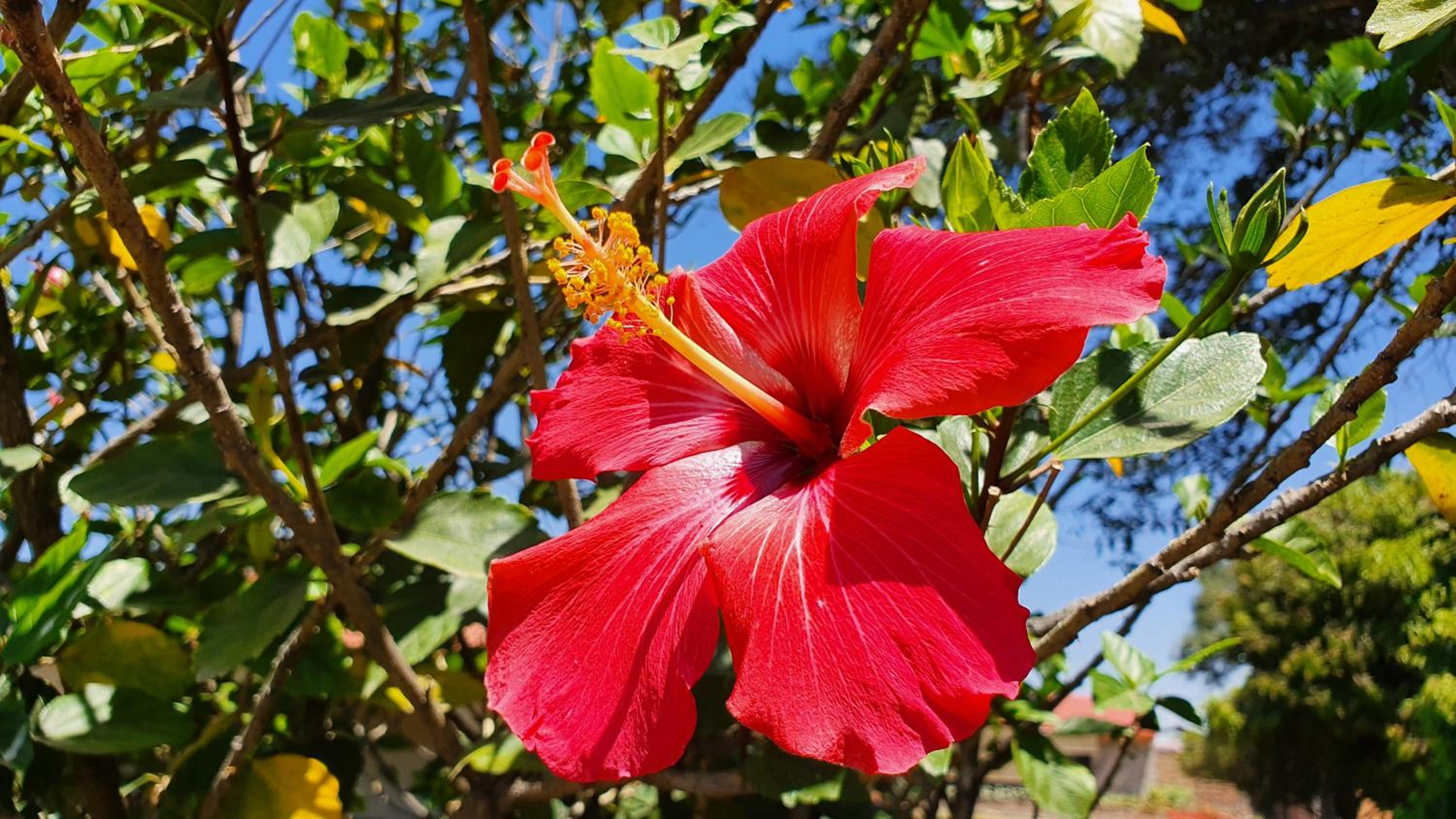 Photo 20