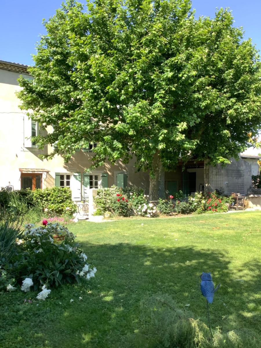Photo 61