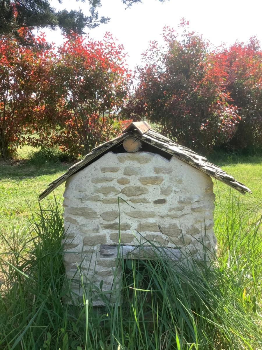 Photo 19