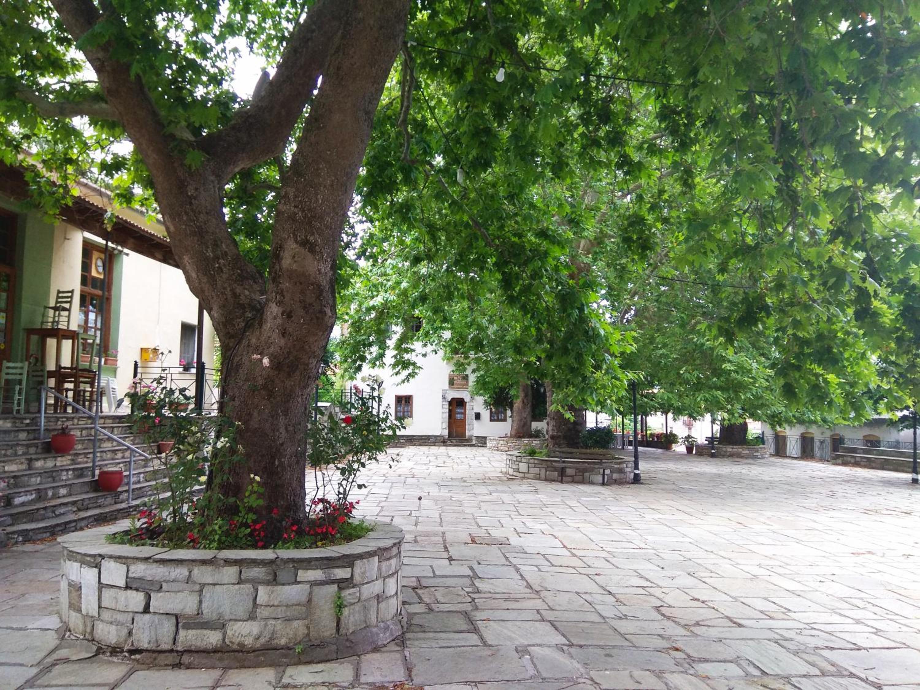 Photo 41