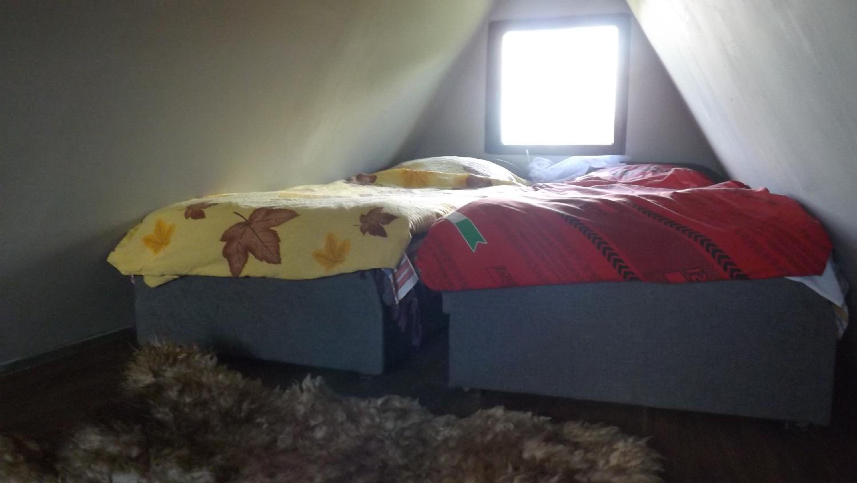 Photo 47