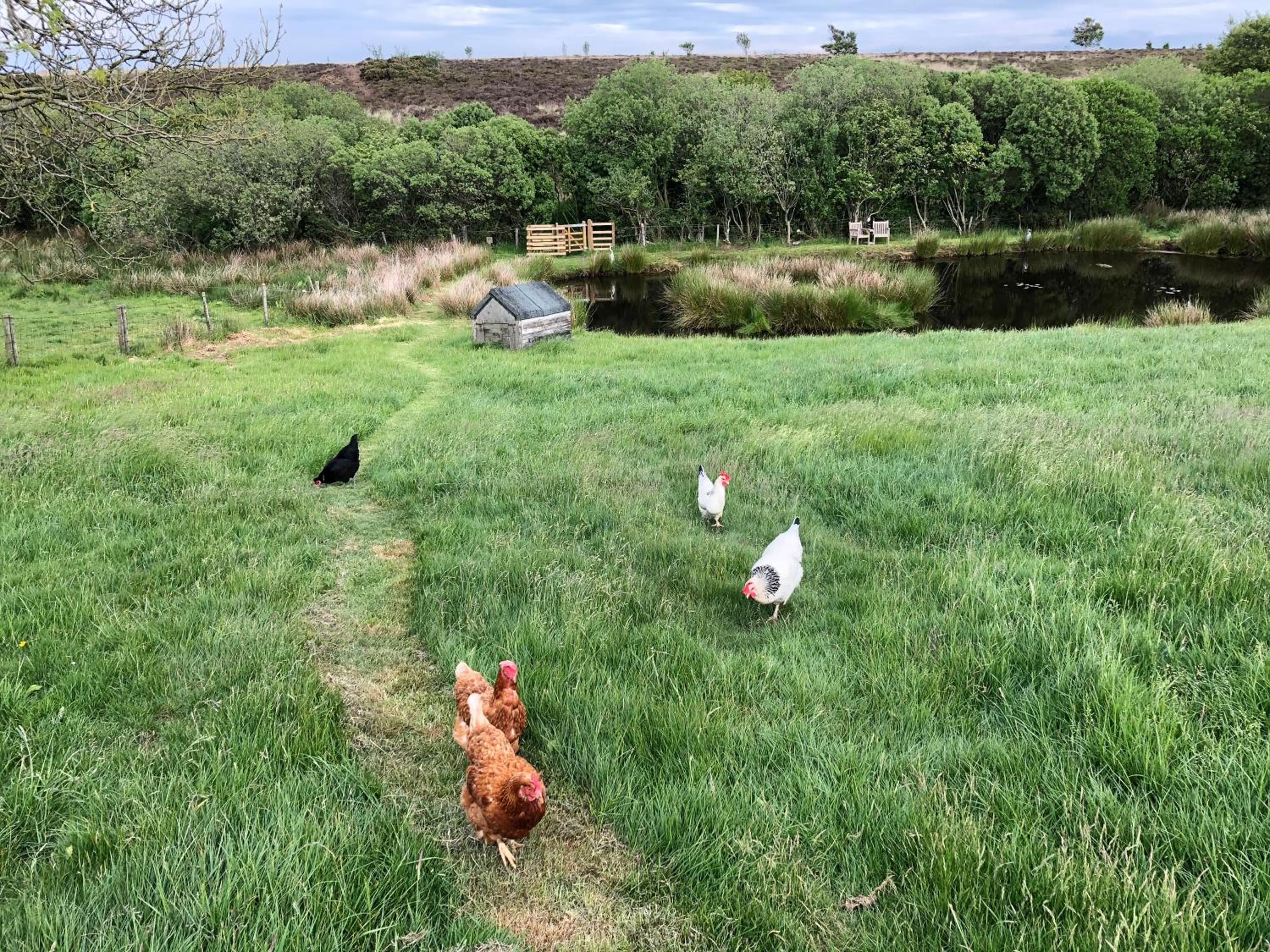 Folly Hall Farm