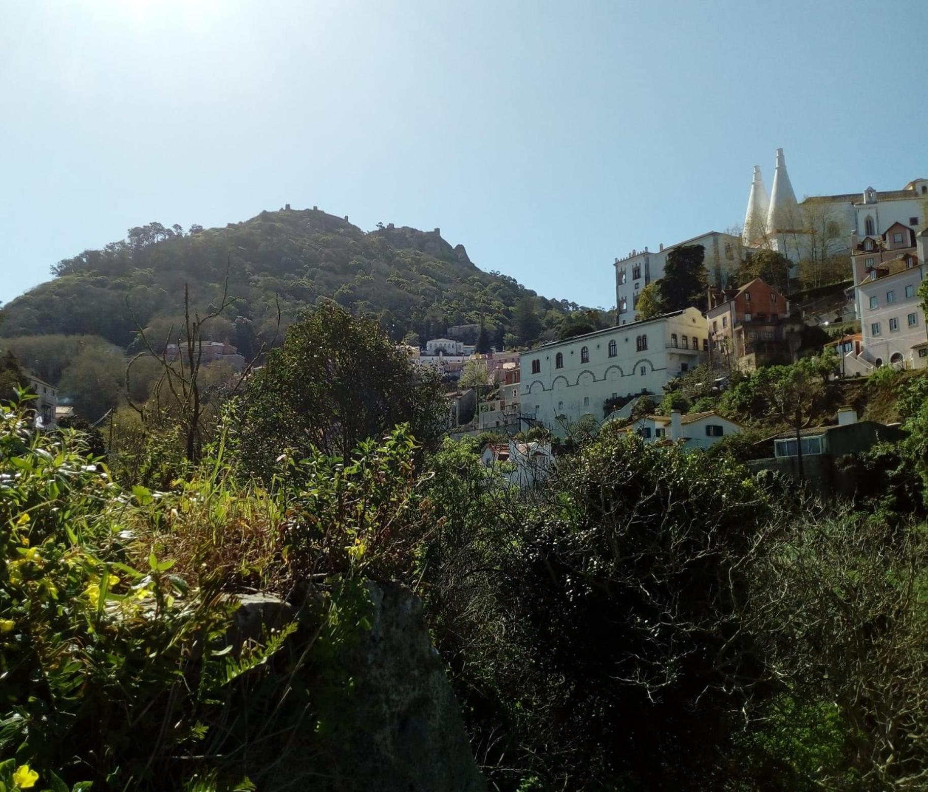 Photo 46