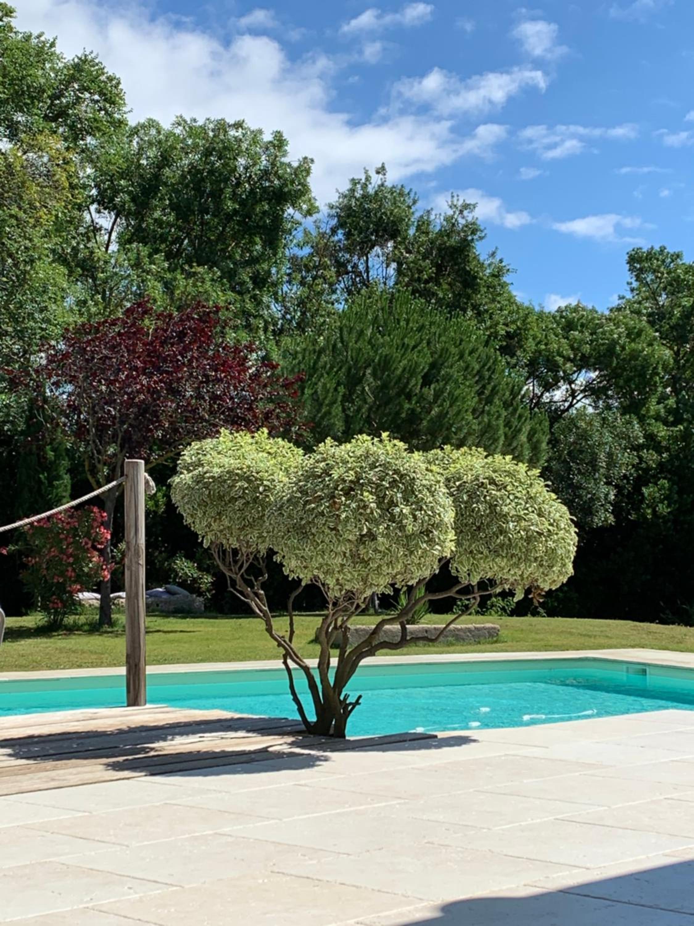 Le Jardin de LaCoste view 4