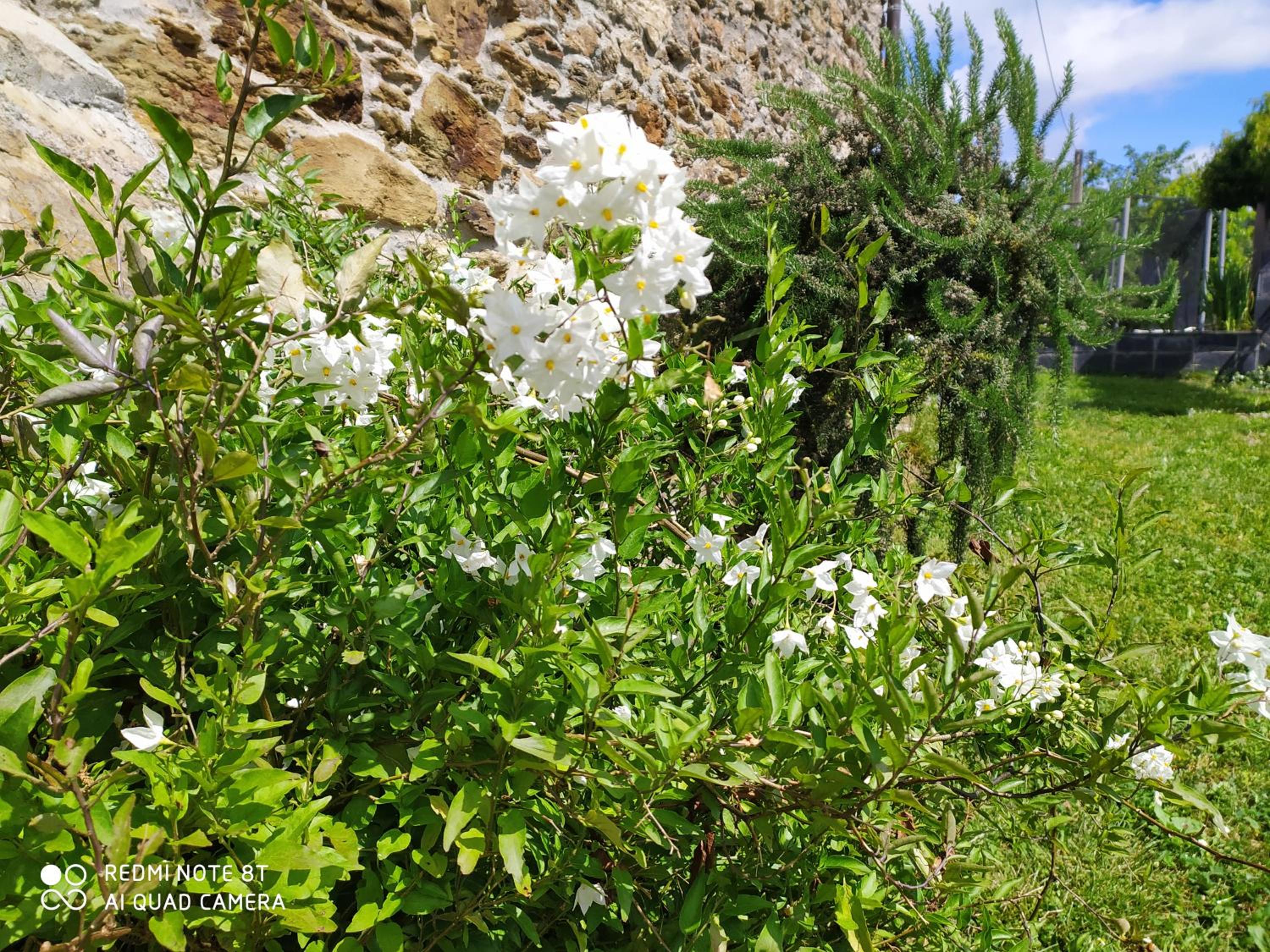 Photo 40