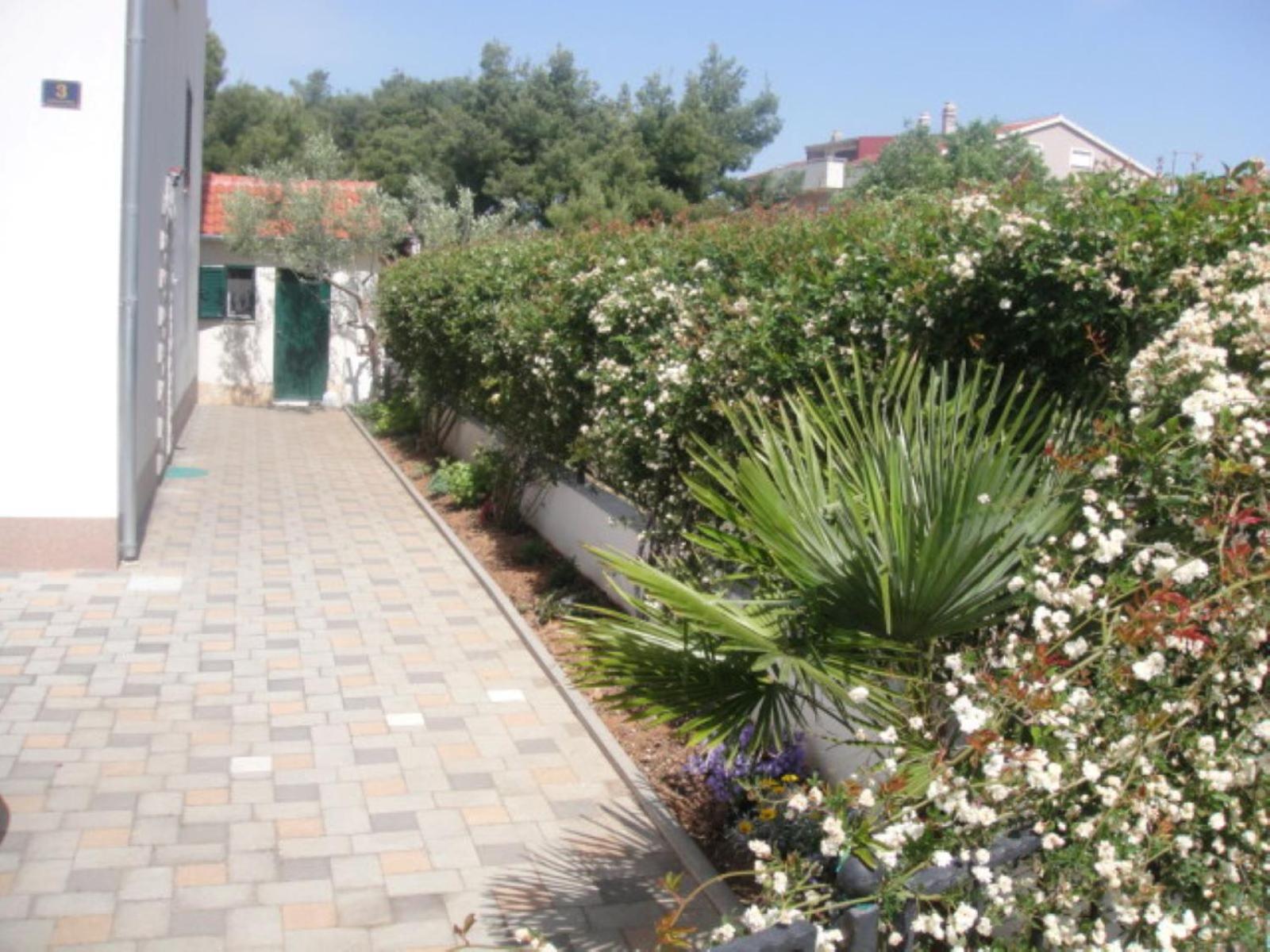 Photo 29