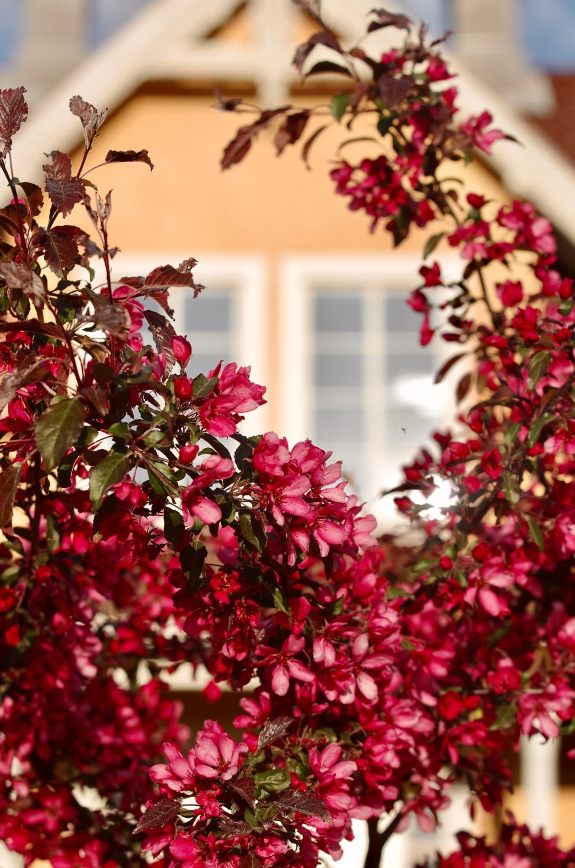 Hidingsta gård B&B view 5