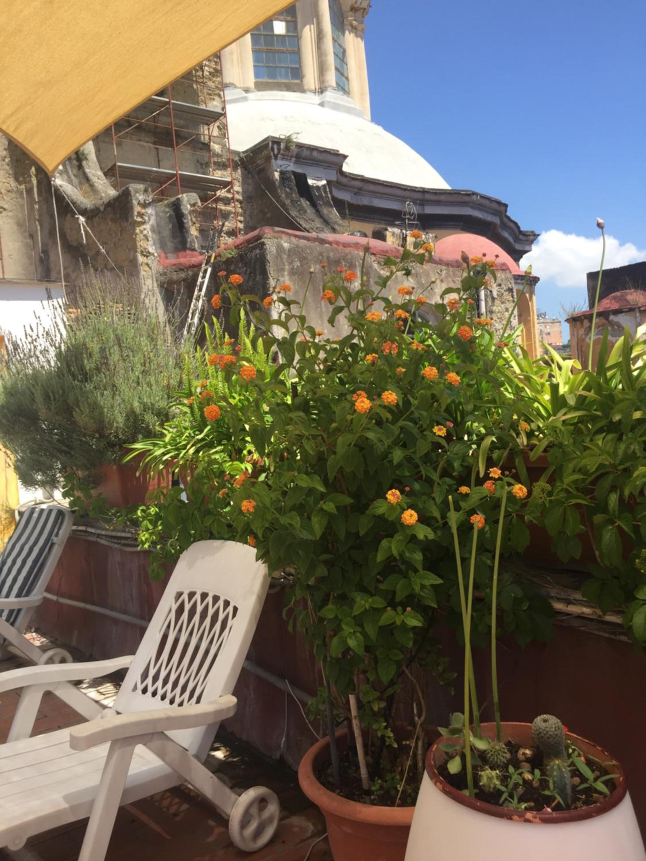 B&B La Terrazza Napoli photo 3