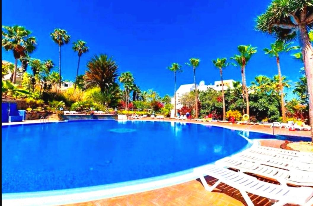 Eldorado PATRICIA Studio view 4