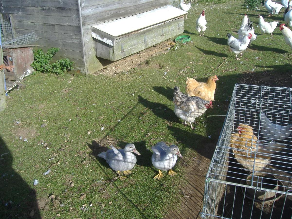 South Moor Farm view 4