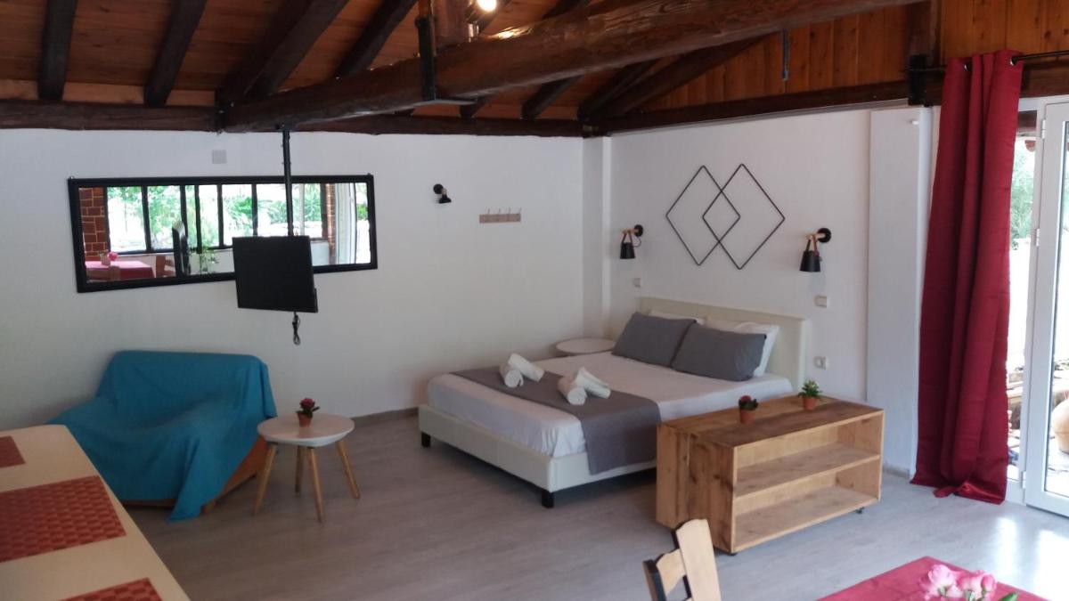 Sun's Gift Mega Studio photo 5