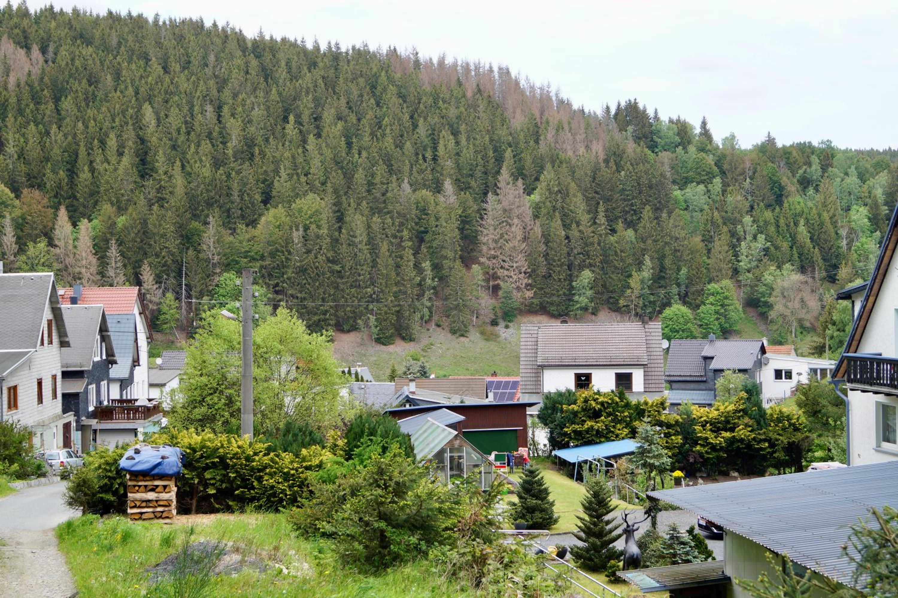 Photo 45