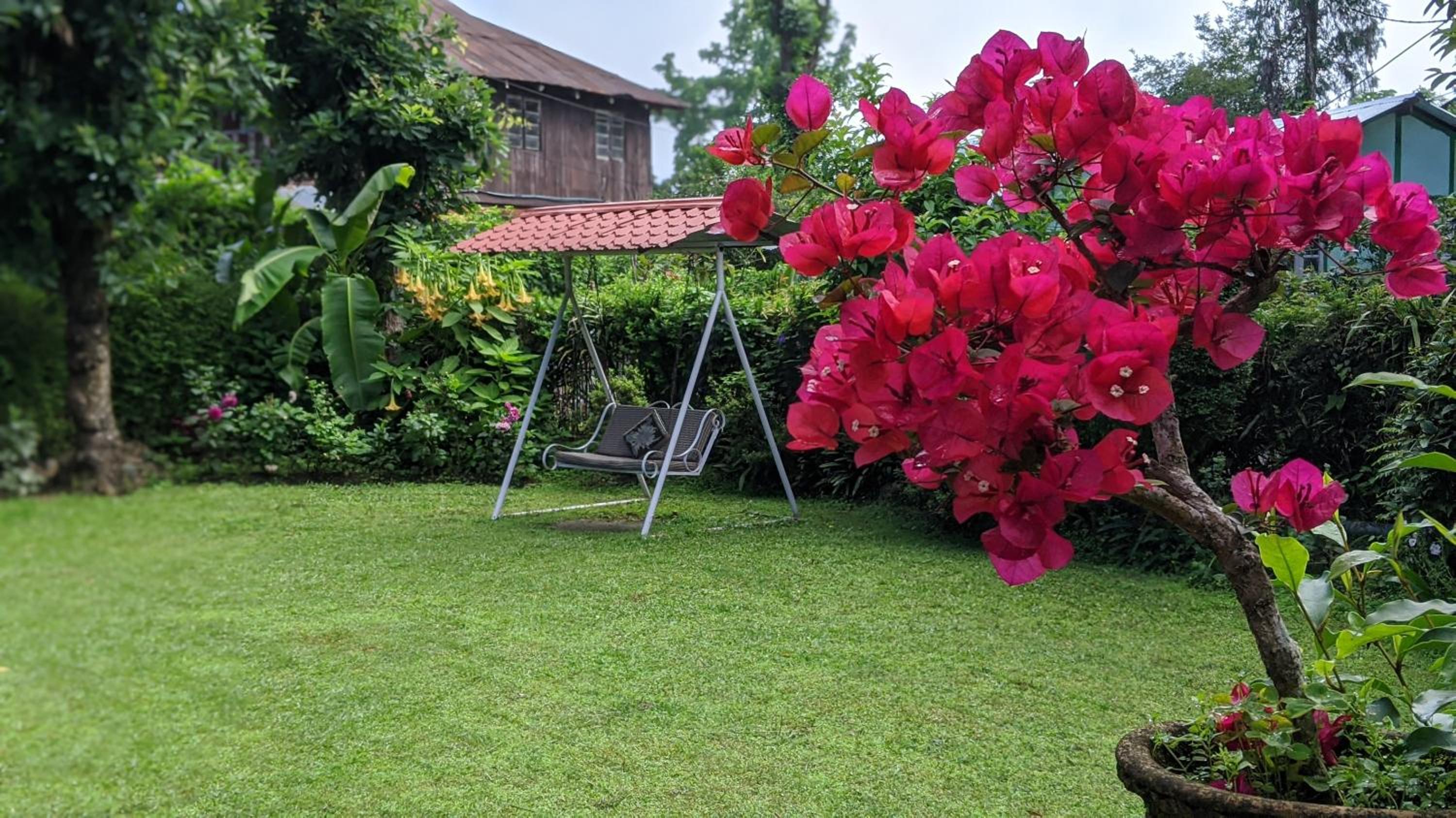 Shikher Guest House