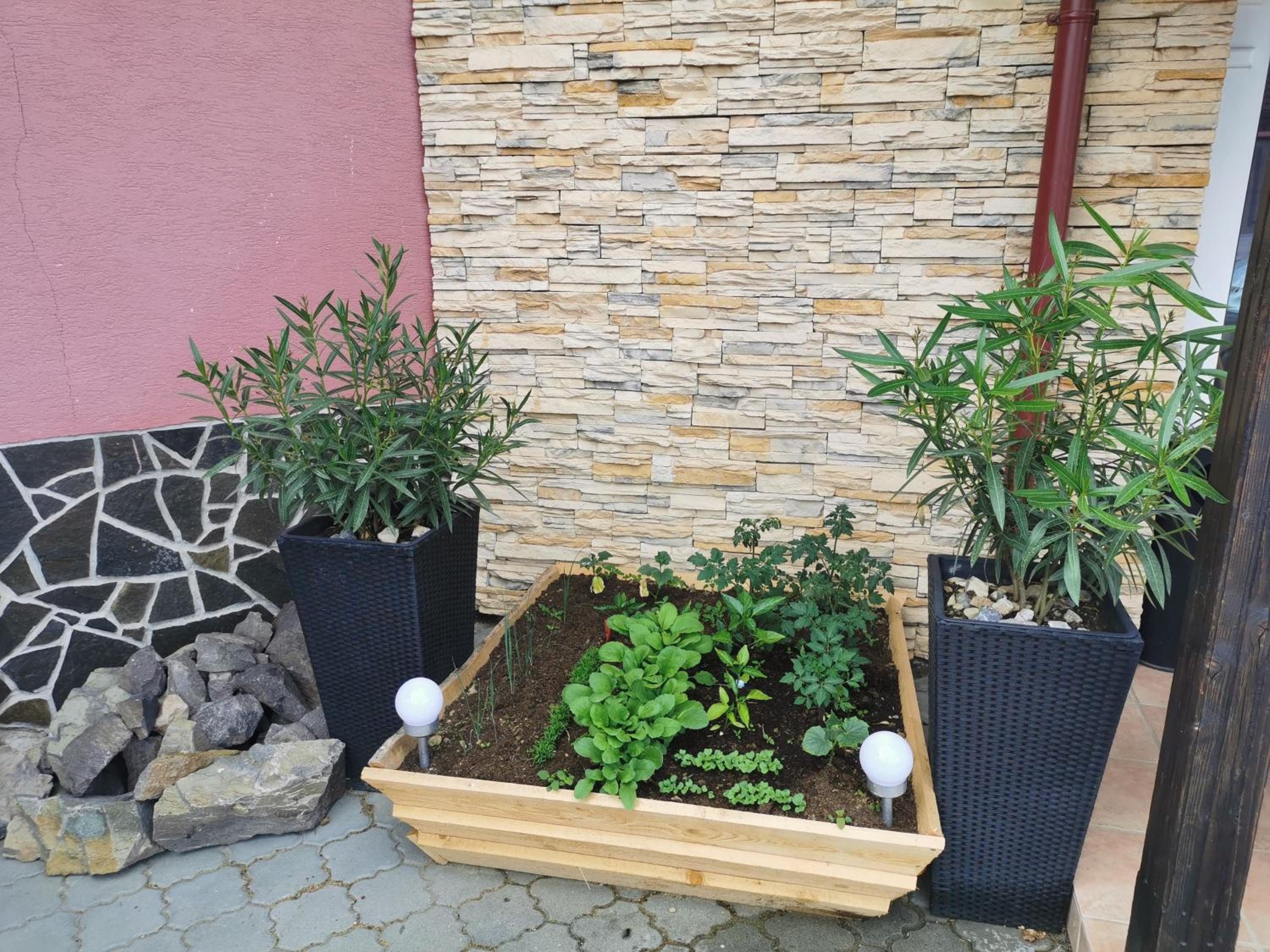 Photo 12