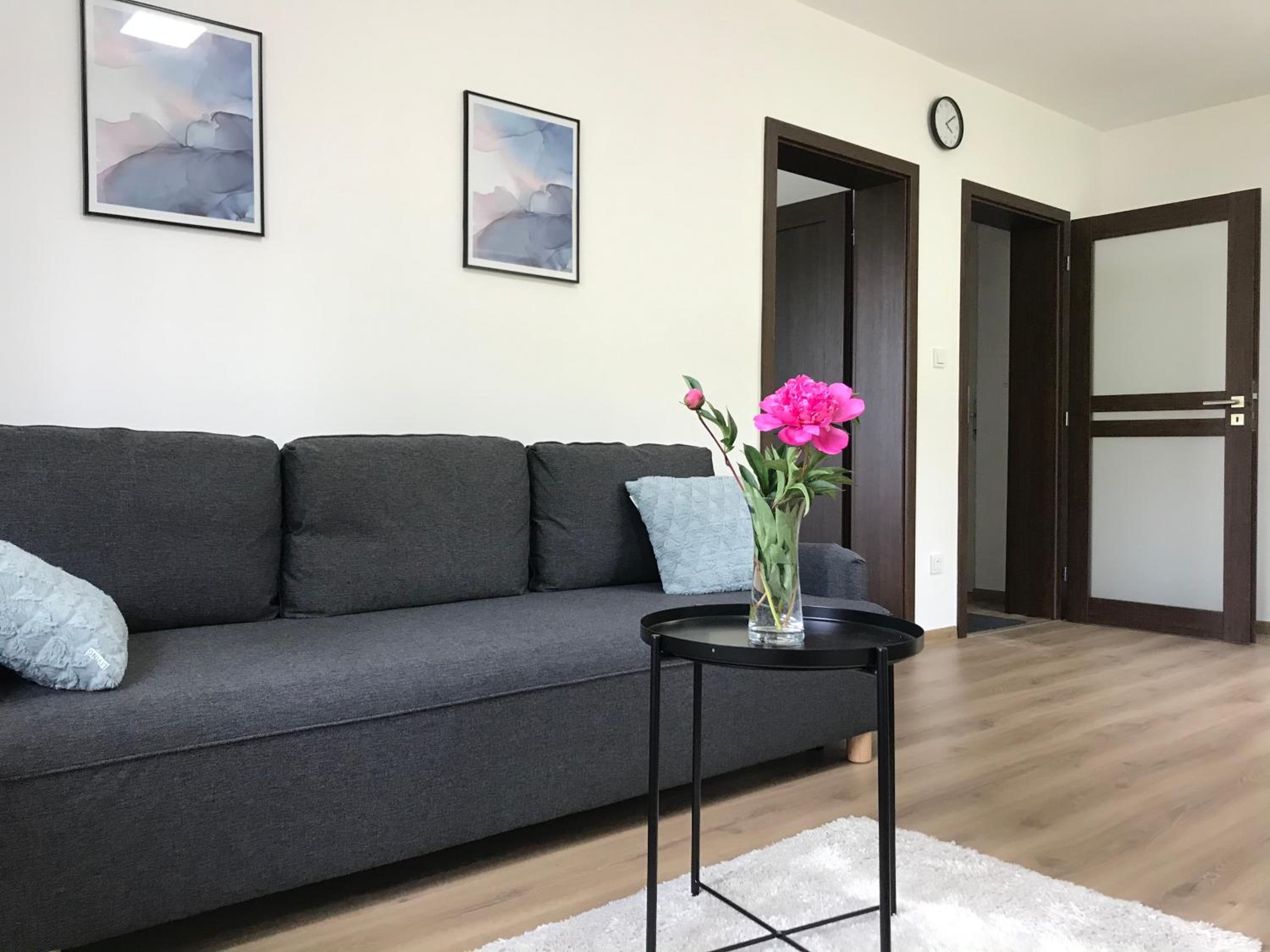 Apartmán NA KOPCI Krucemburk view 4