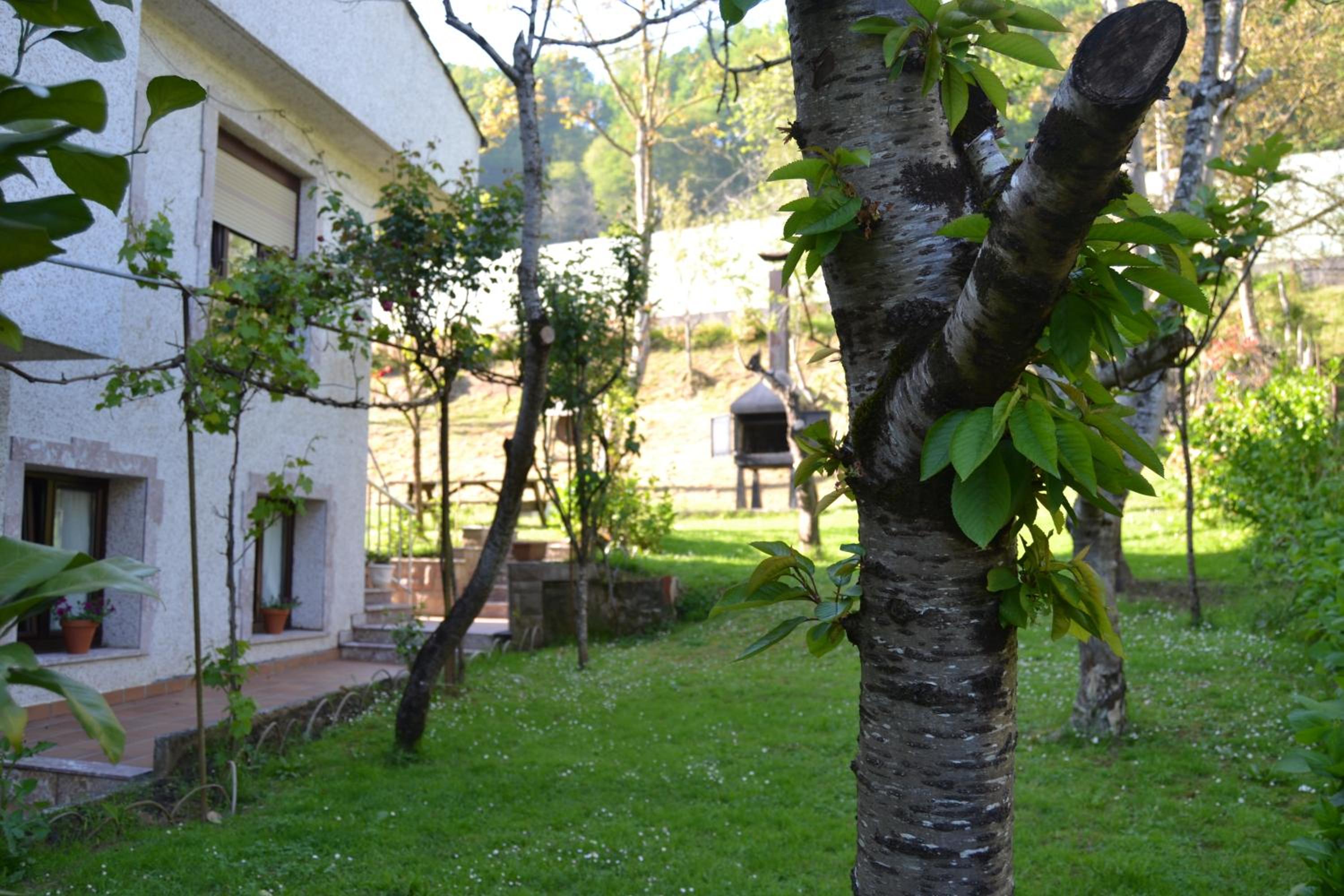 Apartamentos Las Palmeras
