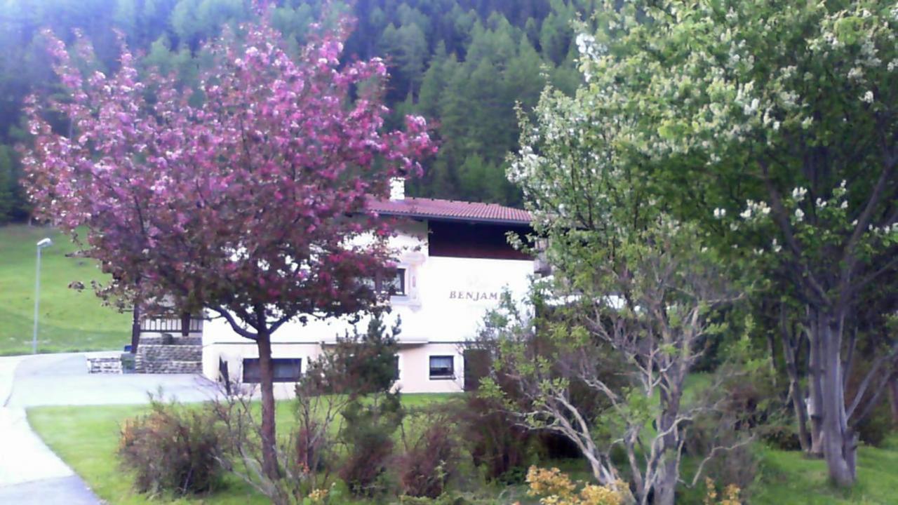 Photo 7