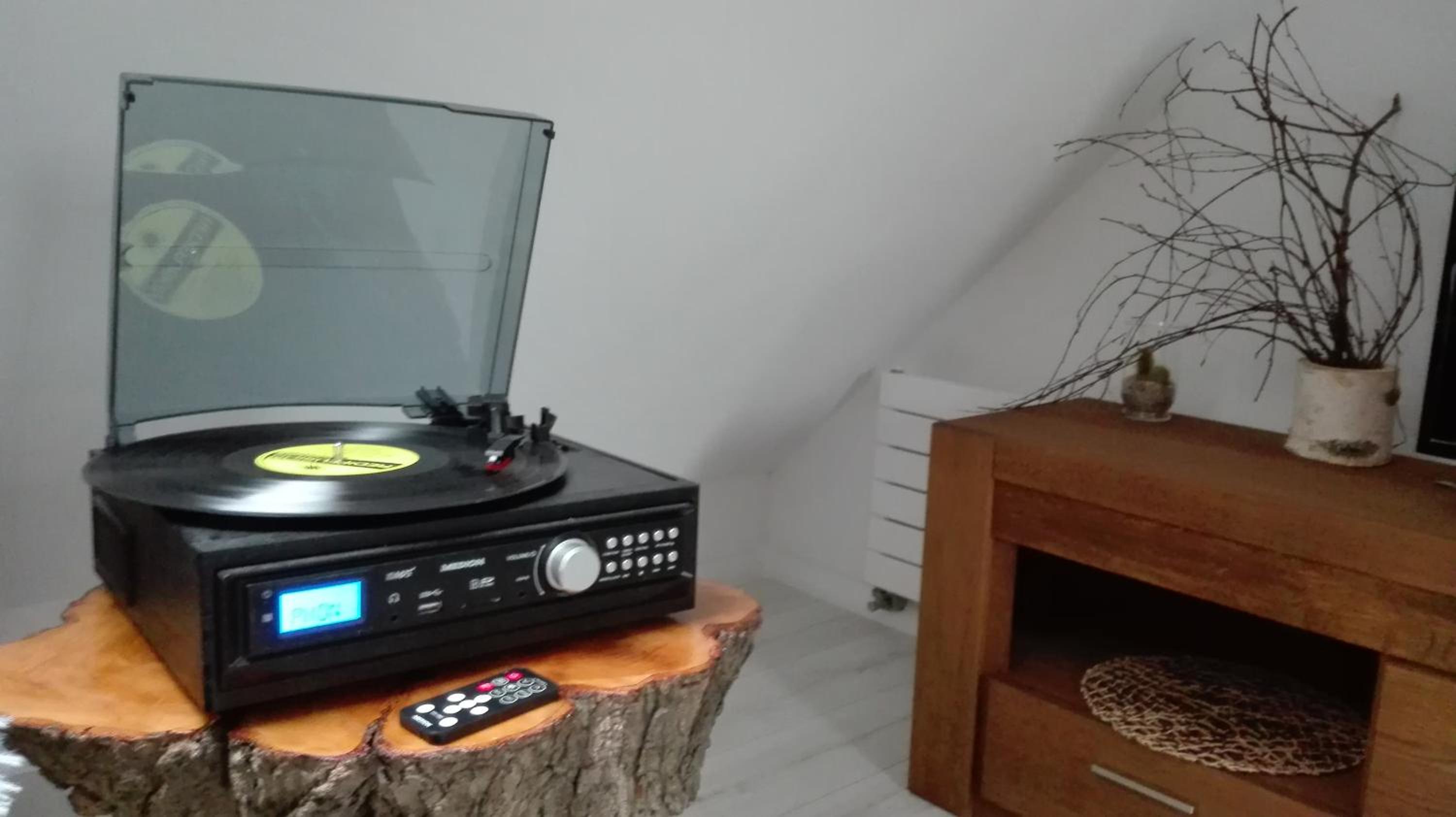 Brzoza i Świerk z widokiem na góry Apartament w centrum uzdrowiska przy Parku i Termach, photo 5