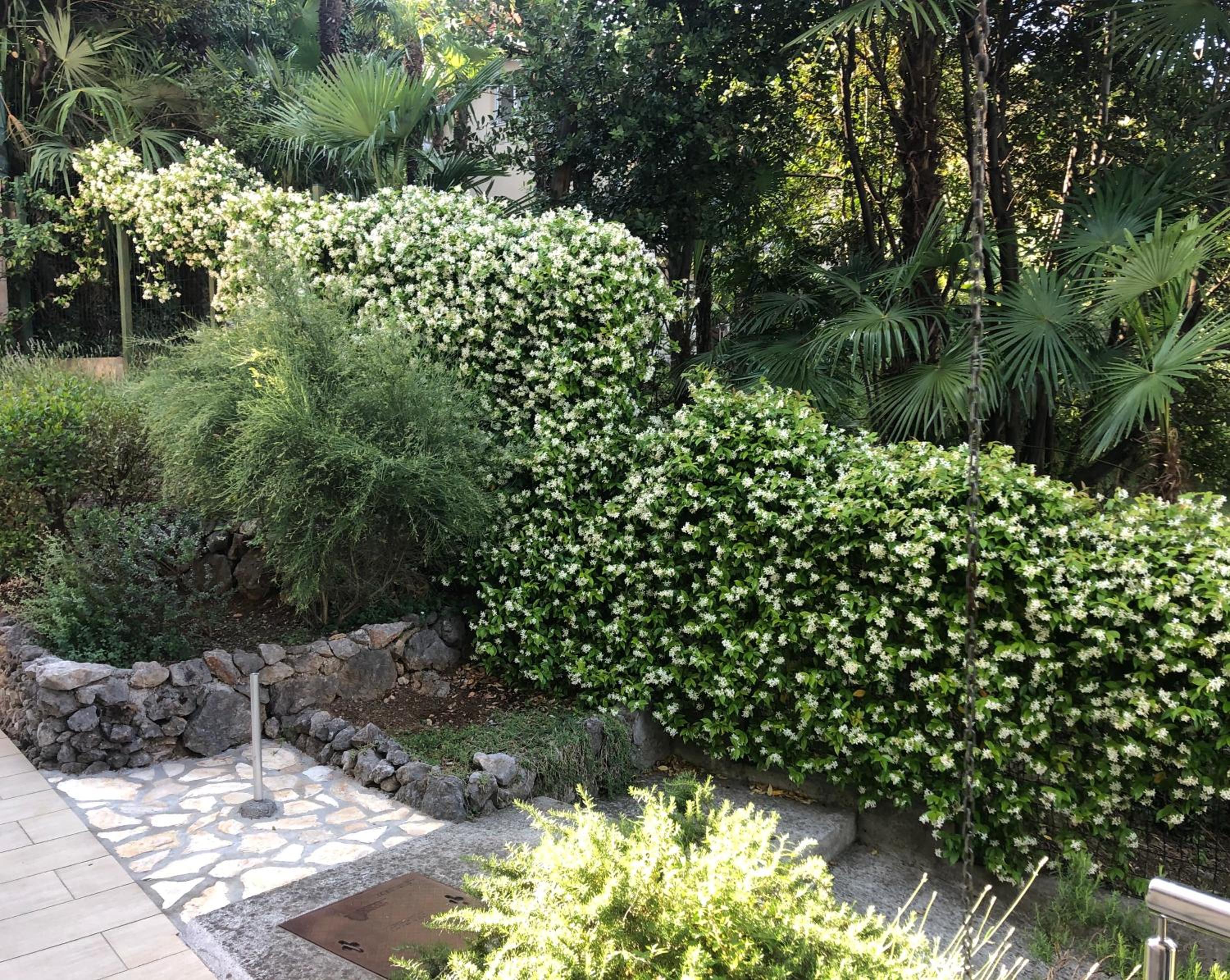 Photo 38