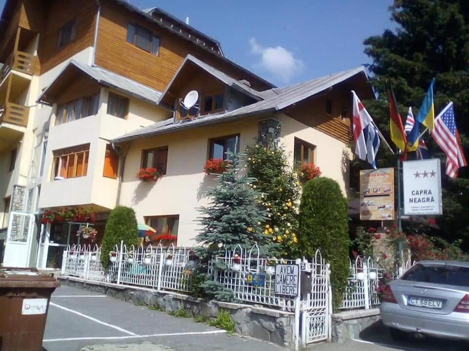 PENSIUNEA CAPRA NEAGRĂ view 4