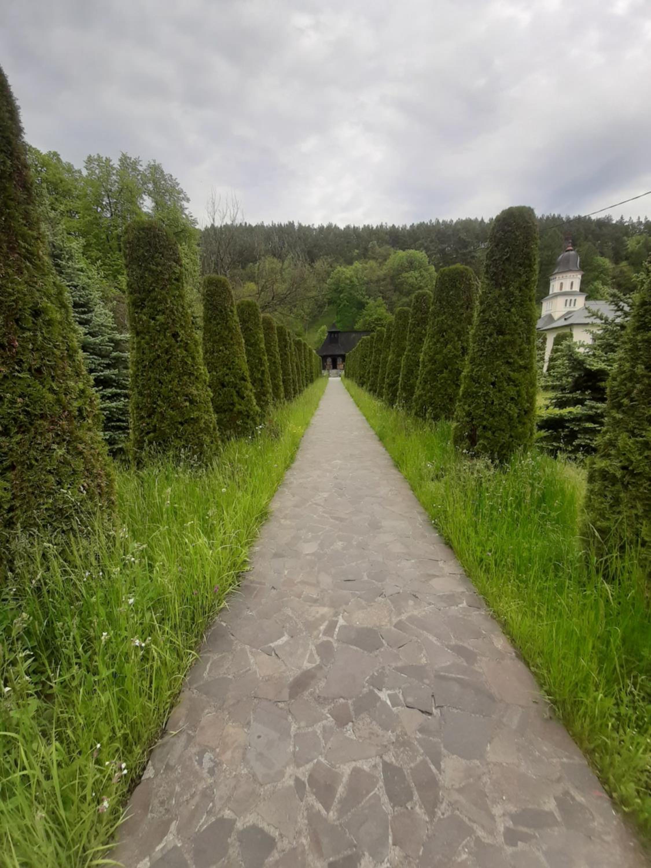 Photo 43