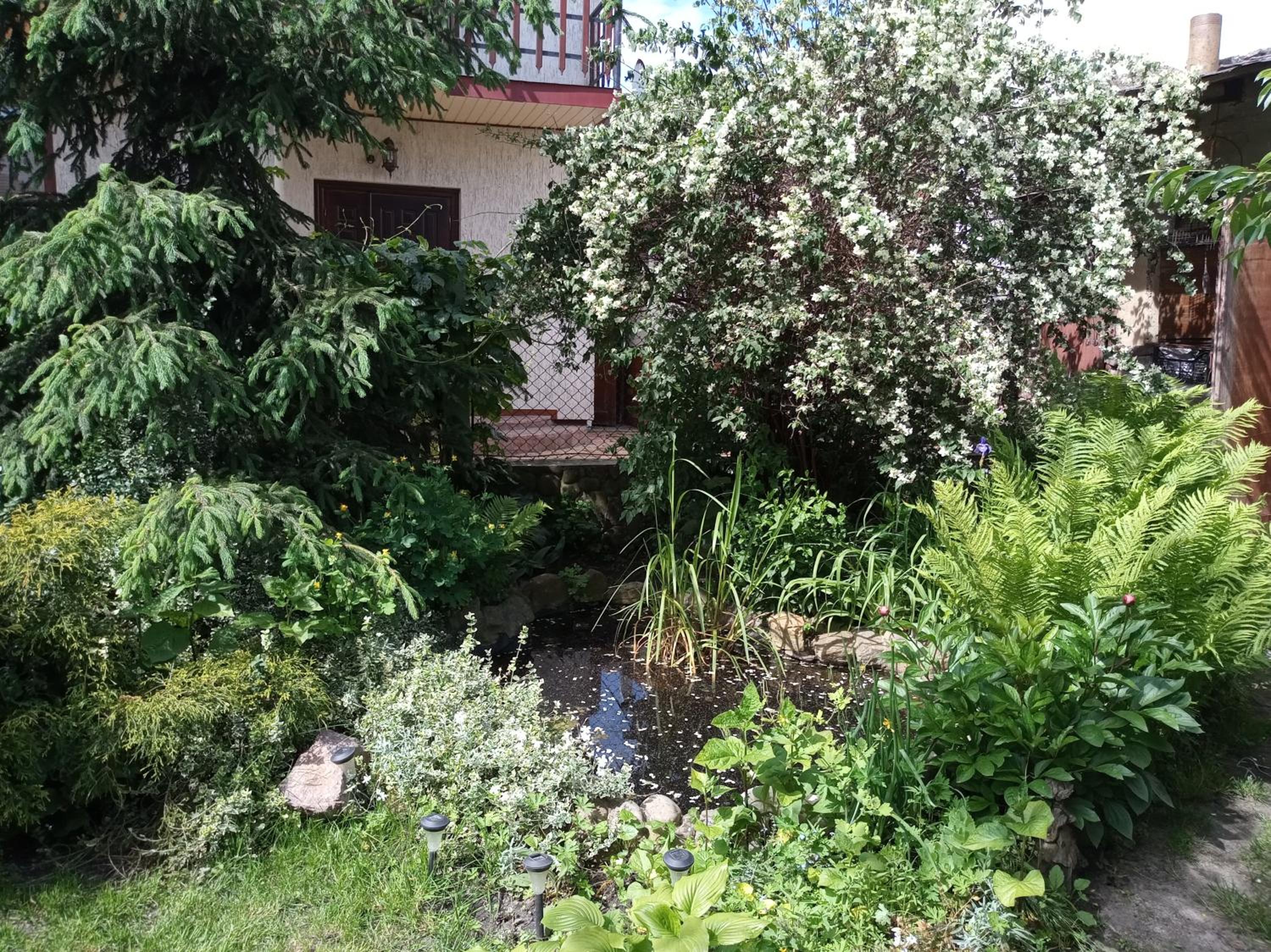 Photo 13