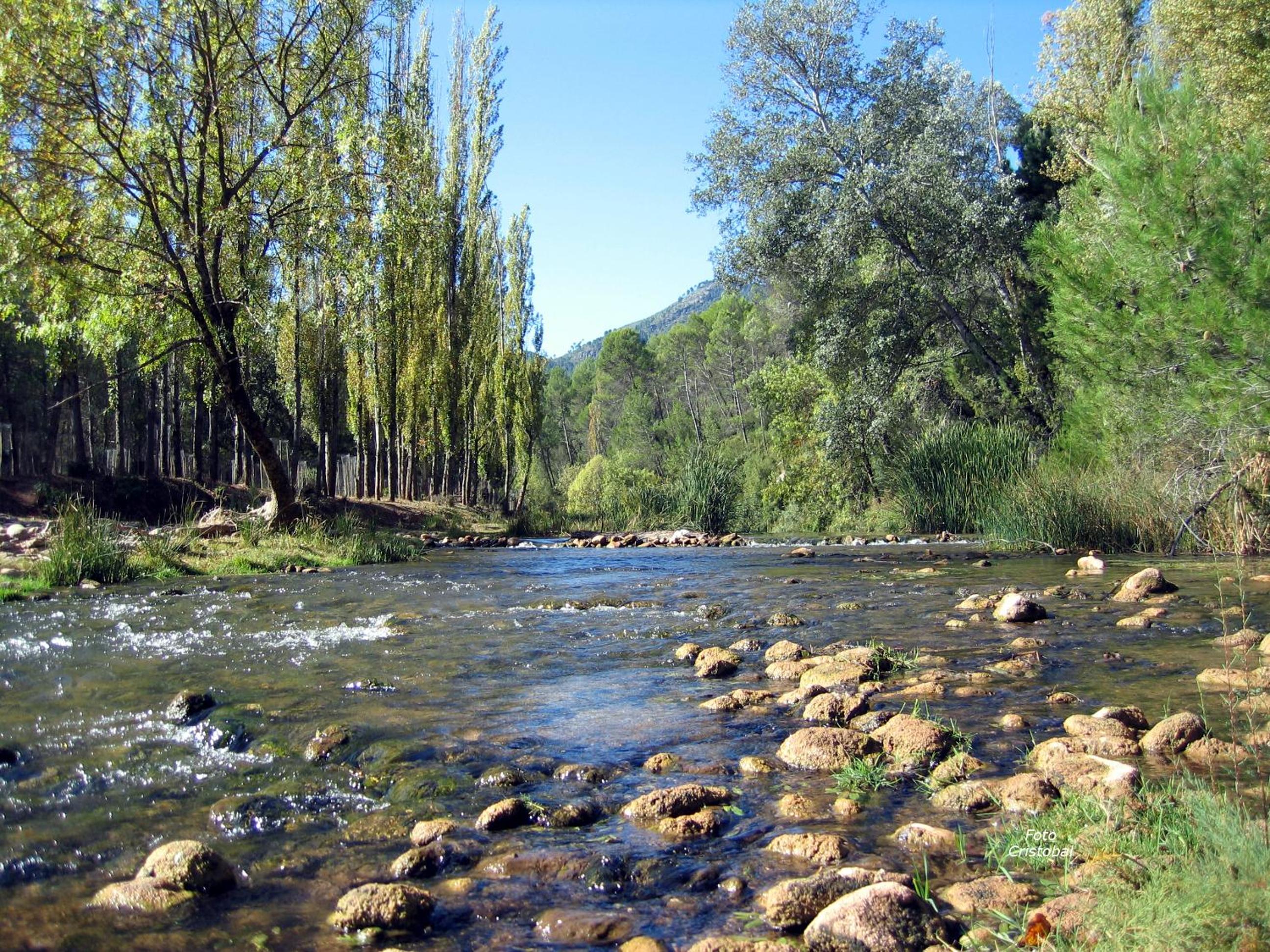 Photo 29