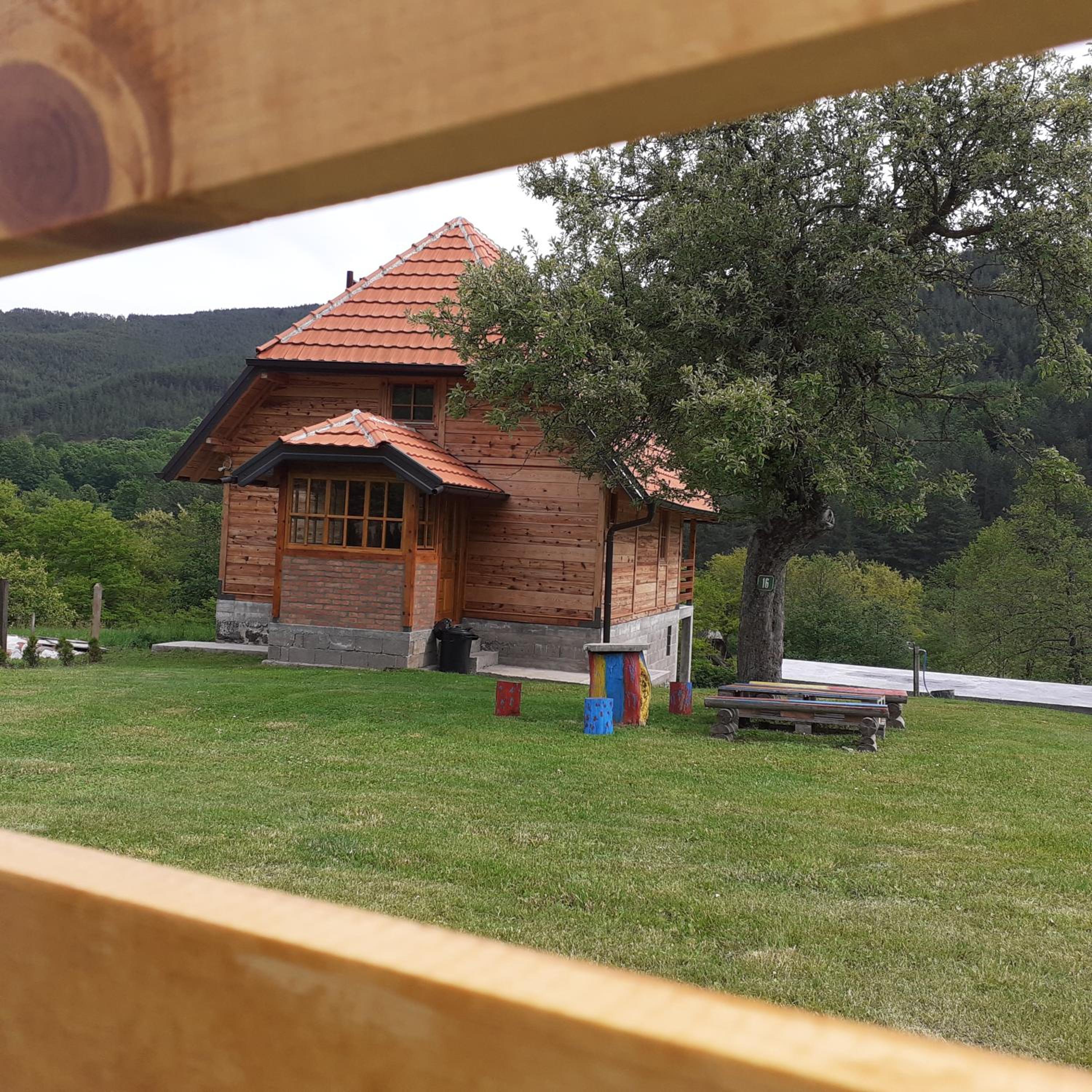Photo 10
