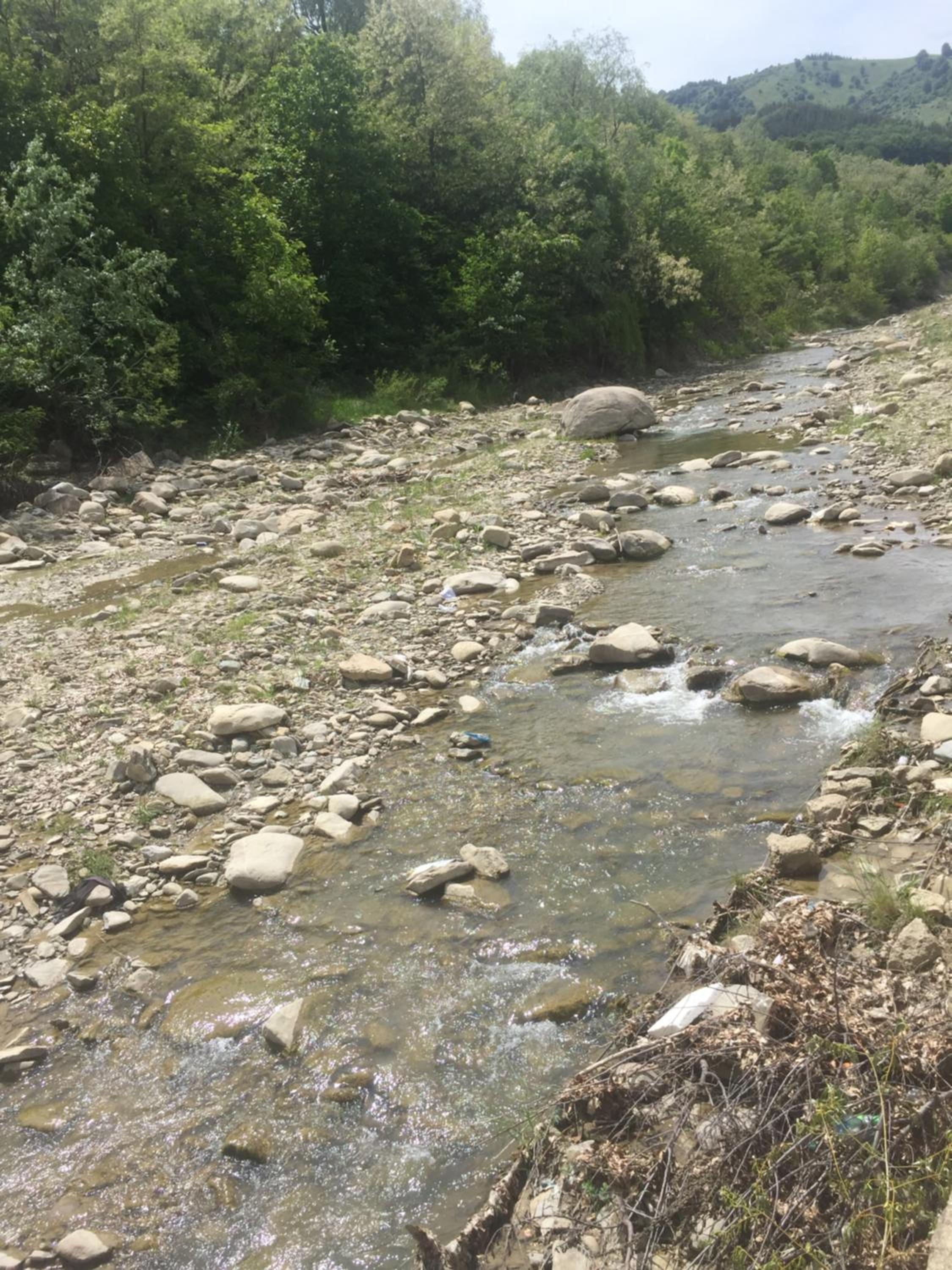 Photo 44