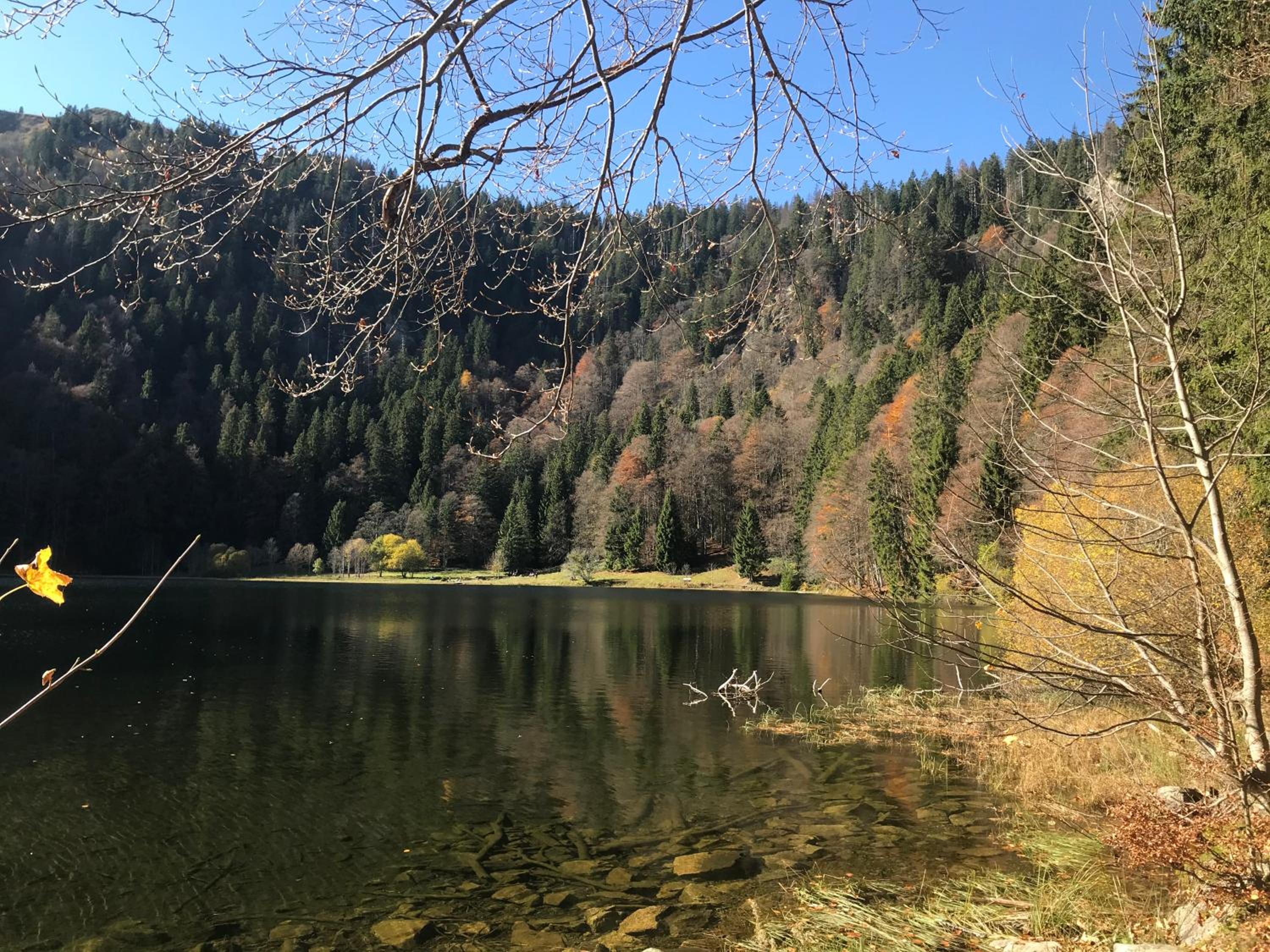 Feldberg Lounge - Residenz Grafenmatt