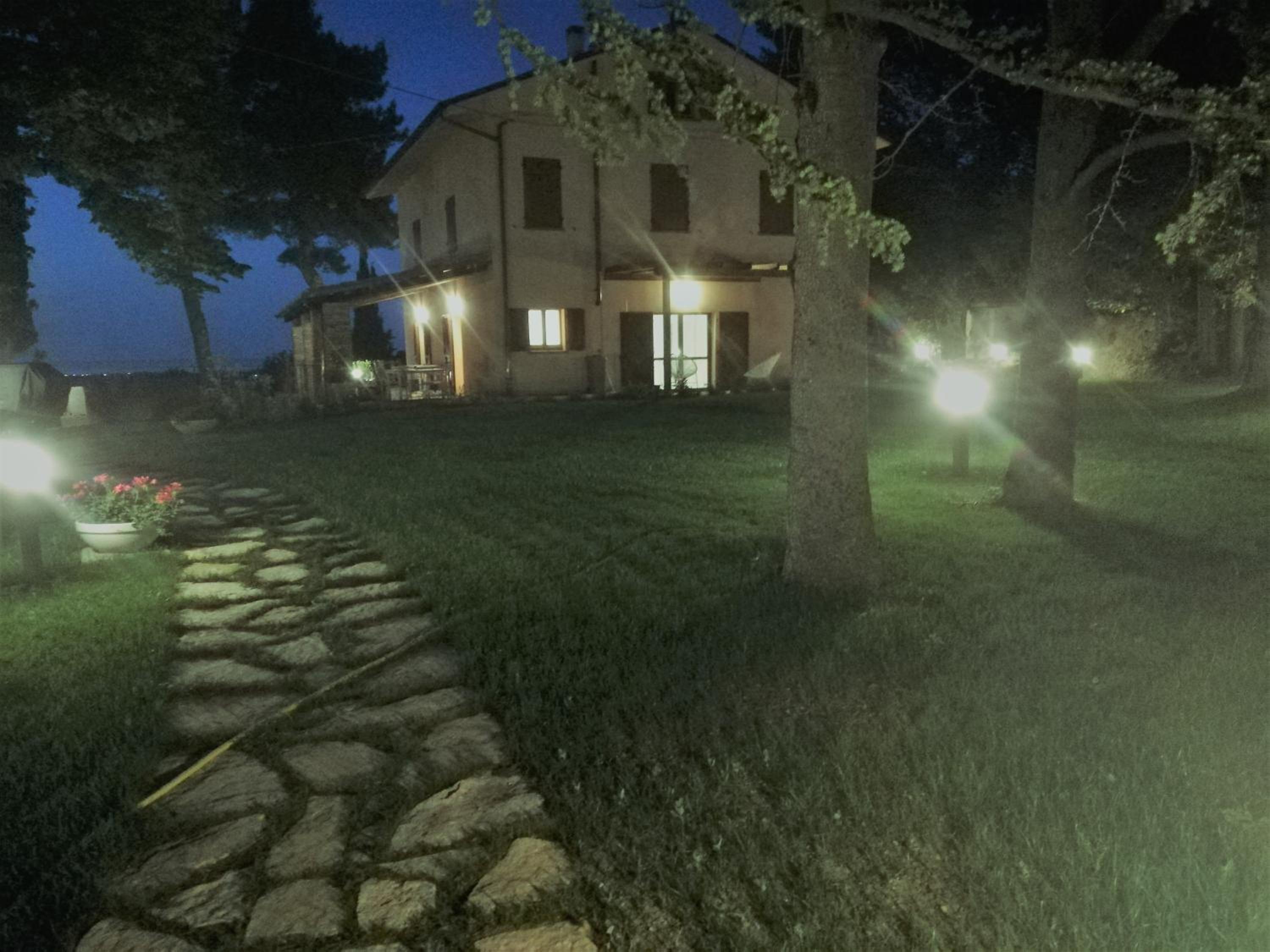 Photo 29