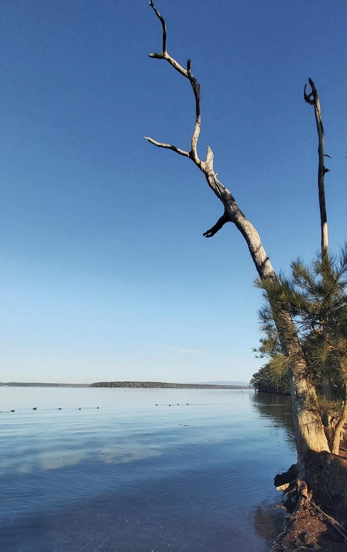 'Point Break' Your Waterfront Break at the Point