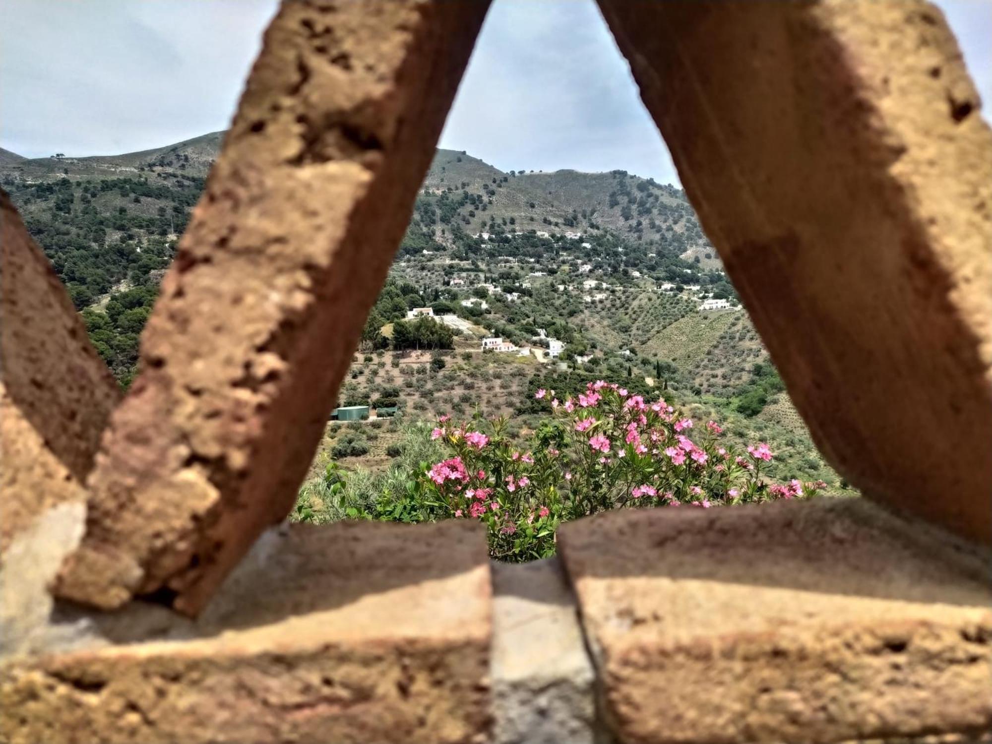 Cortijo la Joya view 3