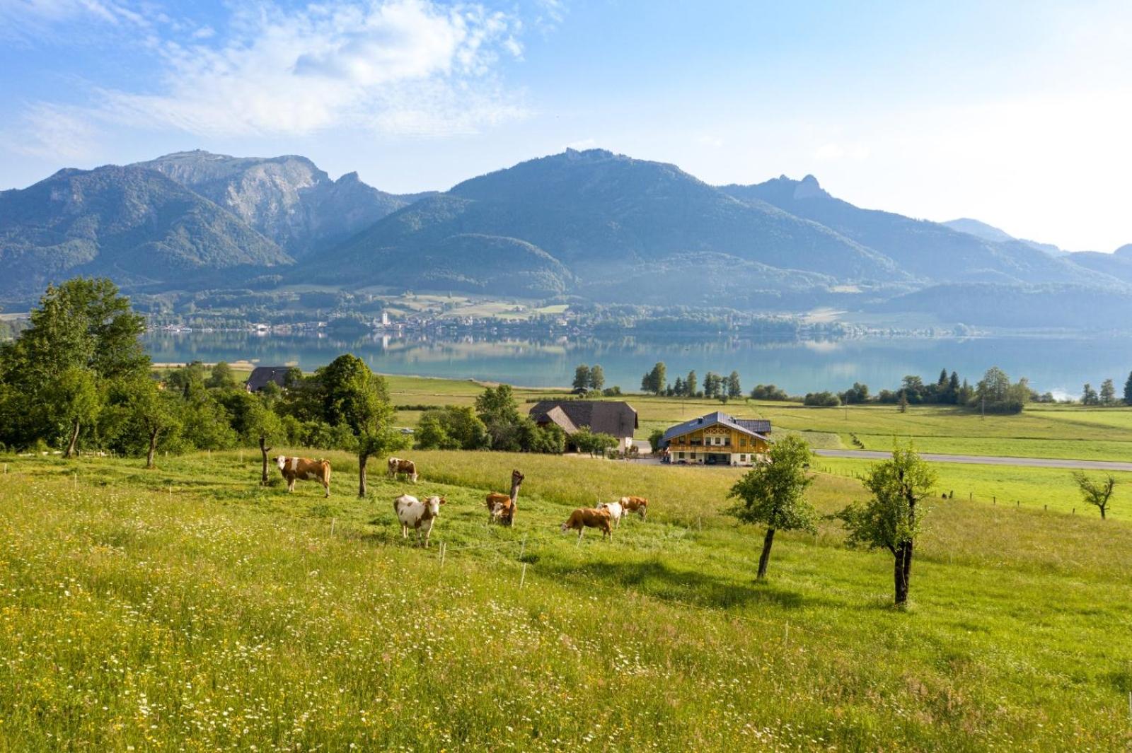 Fumerhof view 5