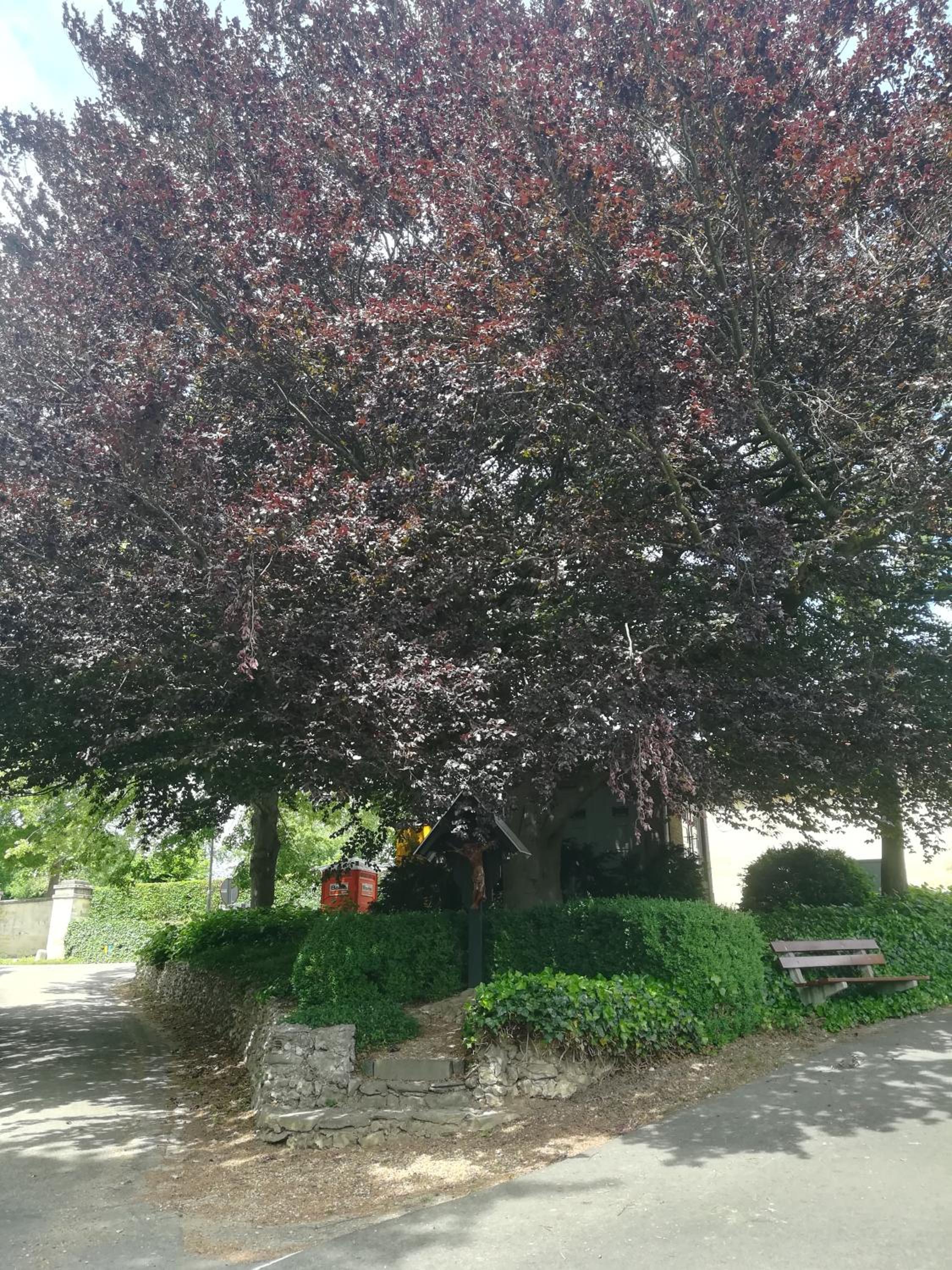 Photo 15