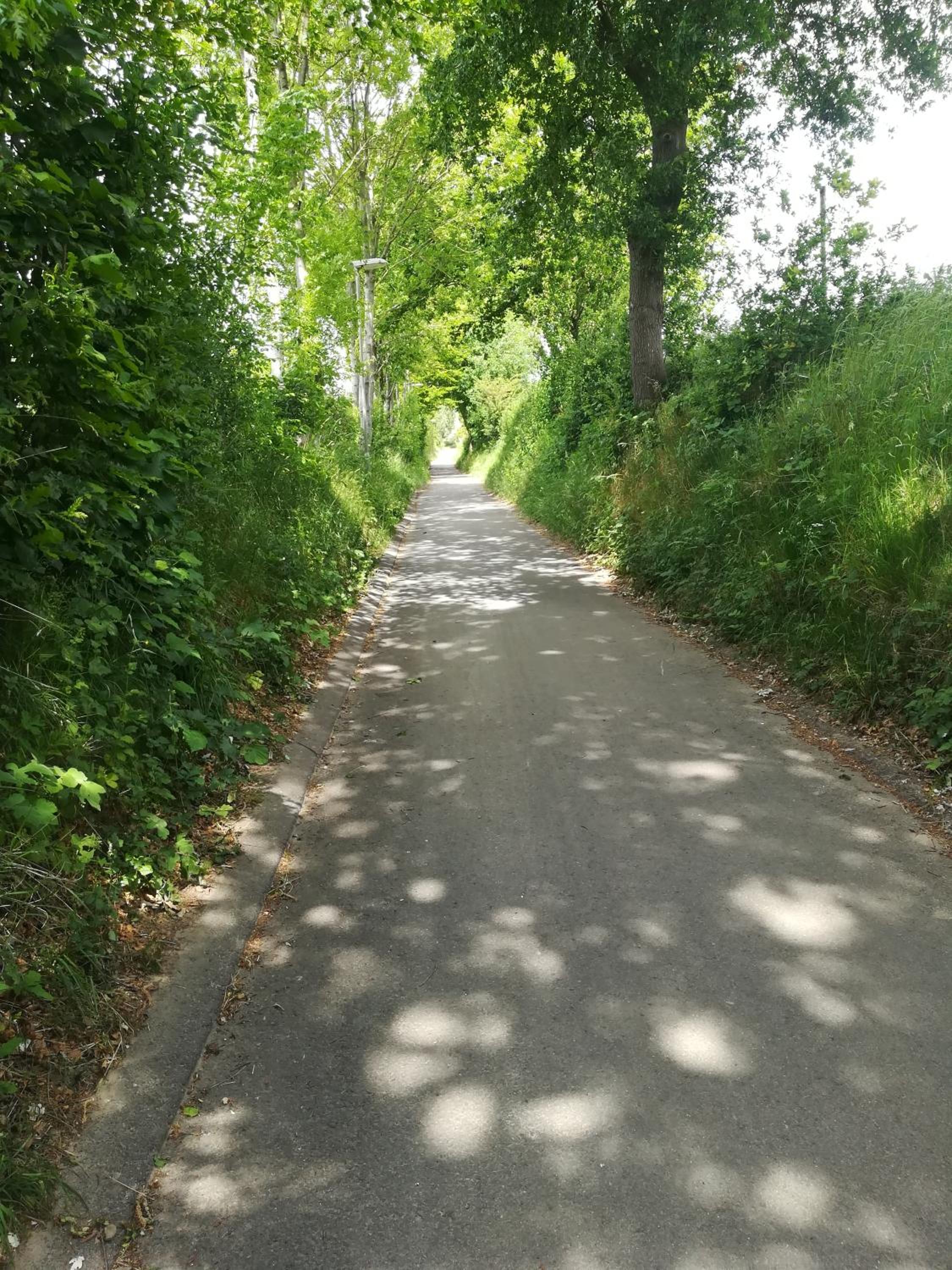 Photo 16